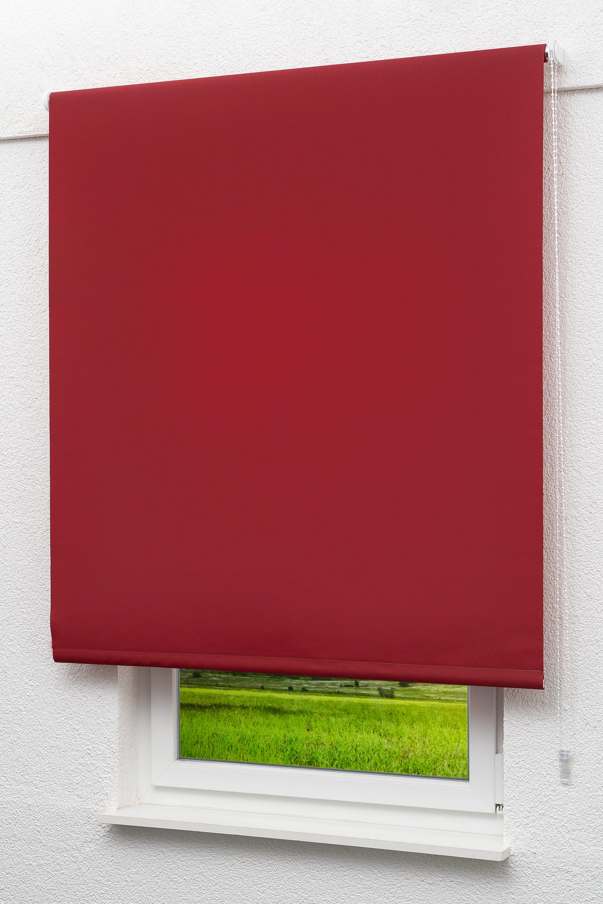 Rollo Basisrollo Tageslicht Bordeauxrot, LYSEL®, blickdicht, HxB 190x82.5cm