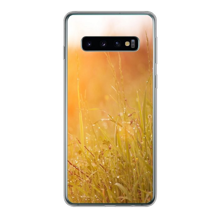 MuchoWow Handyhülle Gras mit frühem Tau im Morgenlicht Phone Case Handyhülle Samsung Galaxy S10 Silikon Schutzhülle