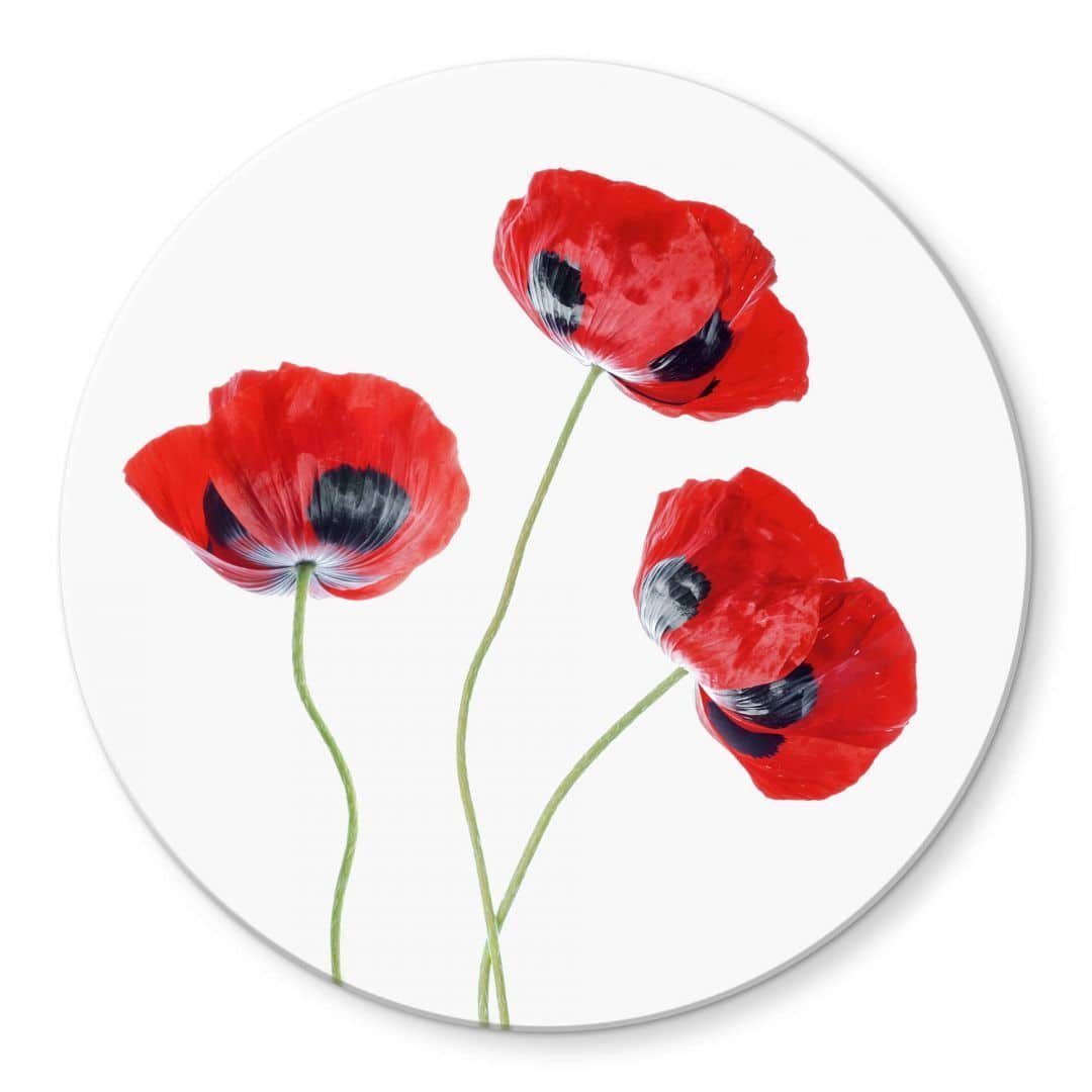 K&L Wall Art Glasbild Glas Wandbild Rund Glasbild floral Kunstdruck Disher Mohnblume, Wandschutz Deko Bilder, Wohnzimmer Wanddeko aus Glas moderne Glasbilder inkl. Wandhalterung