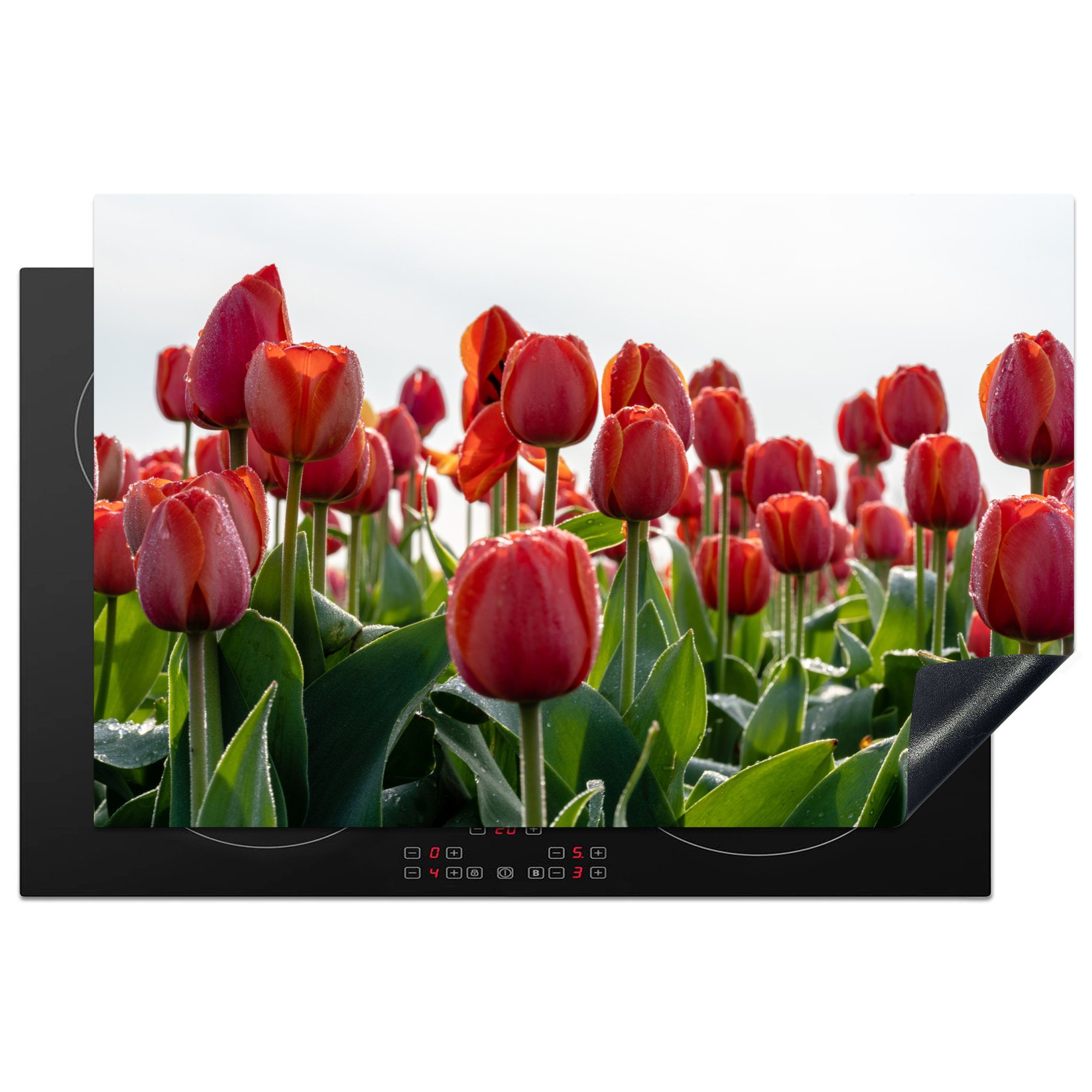 MuchoWow Herdblende-/Abdeckplatte Ein Gebiet mit roten Tulpen in den Niederlanden, Vinyl, (1 tlg), 81x52 cm, Induktionskochfeld Schutz für die küche, Ceranfeldabdeckung
