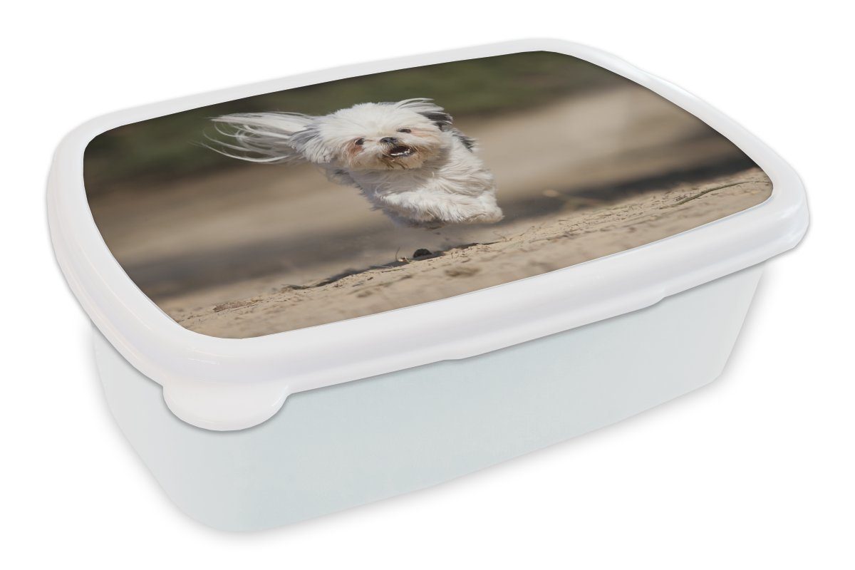 MuchoWow Lunchbox Ein Shih Tzu Hund schwebt mit seinen Beinen über dem Boden, Kunststoff, (2-tlg), Brotbox für Kinder und Erwachsene, Brotdose, für Jungs und Mädchen weiß