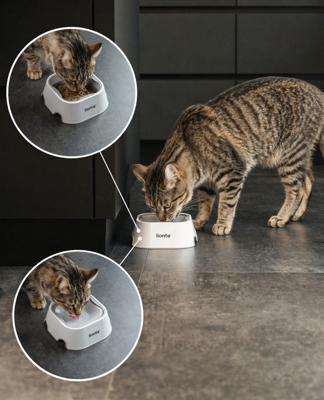 lionto Anti-Schlabber-Napf für Katzen in smartem Design, lebensmittelechter Kunststoff, rutschfest & spülmaschinengeeignet