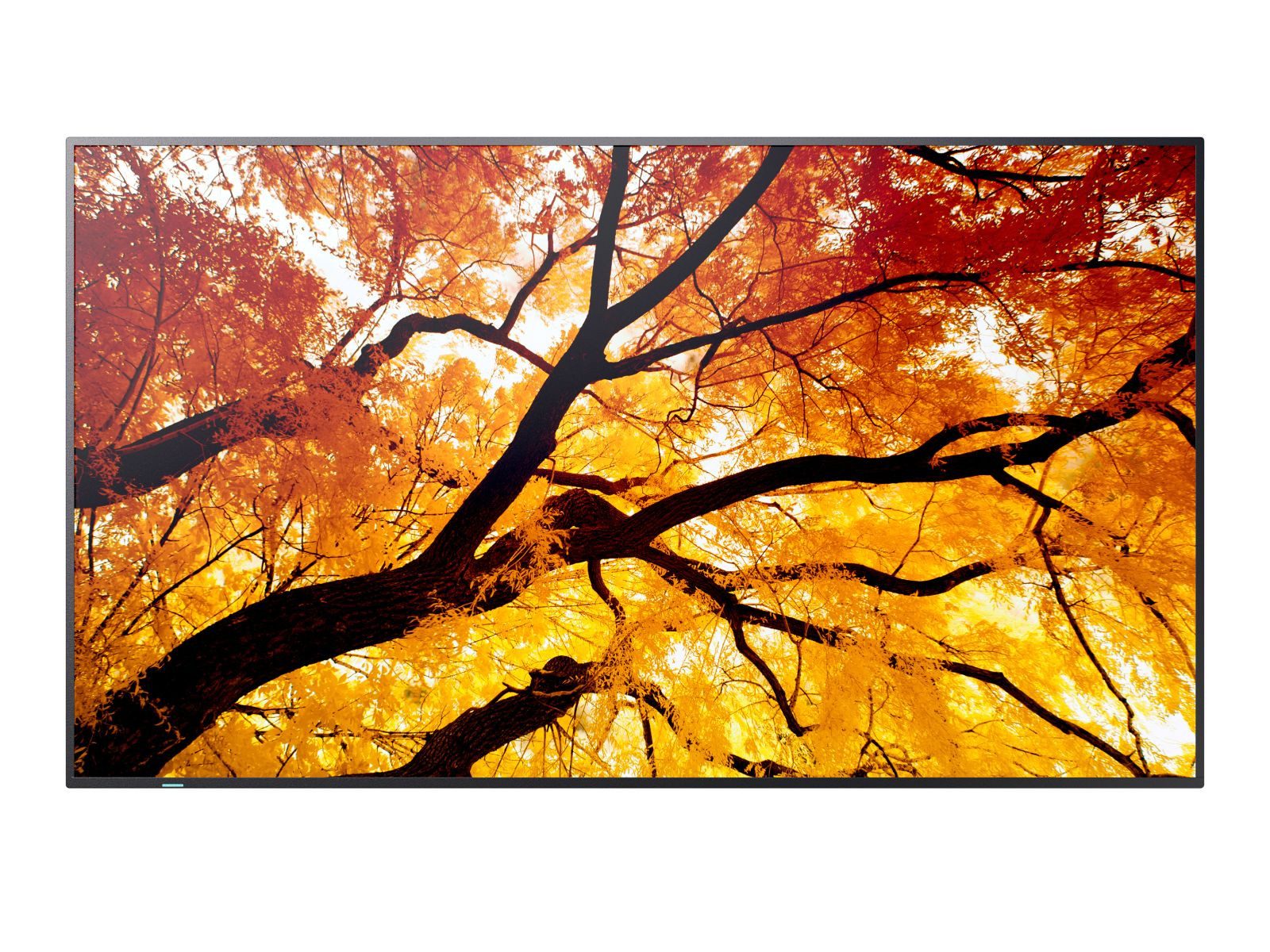 NEC M322 32IN LFD FHD D-LED 450CD/QM 24/7 USB MP TFT-Monitor (1920 x 1080 px, Full HD, 8 ms Reaktionszeit, VA, Lautsprecher)