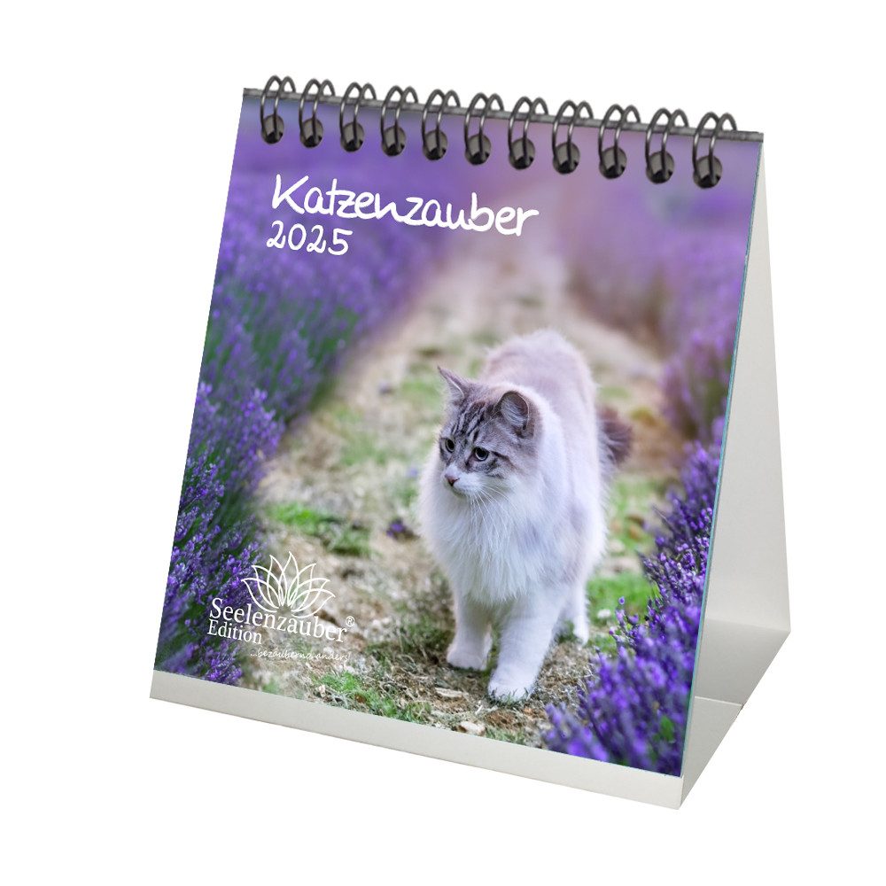 Seelenzauber Tischkalender Katzenzauber Kalender für 2025 Format 10cm x 10cm Katzen