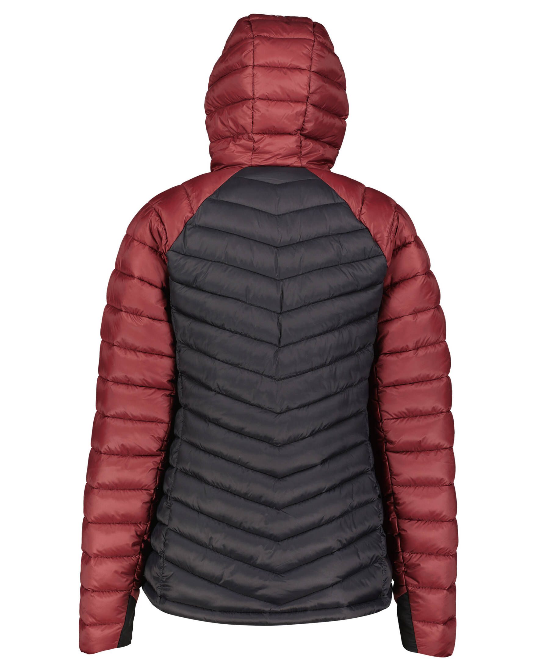 Meru Steppjacke Damen Steppjacke PERRYVILLE (1-St) günstig online kaufen