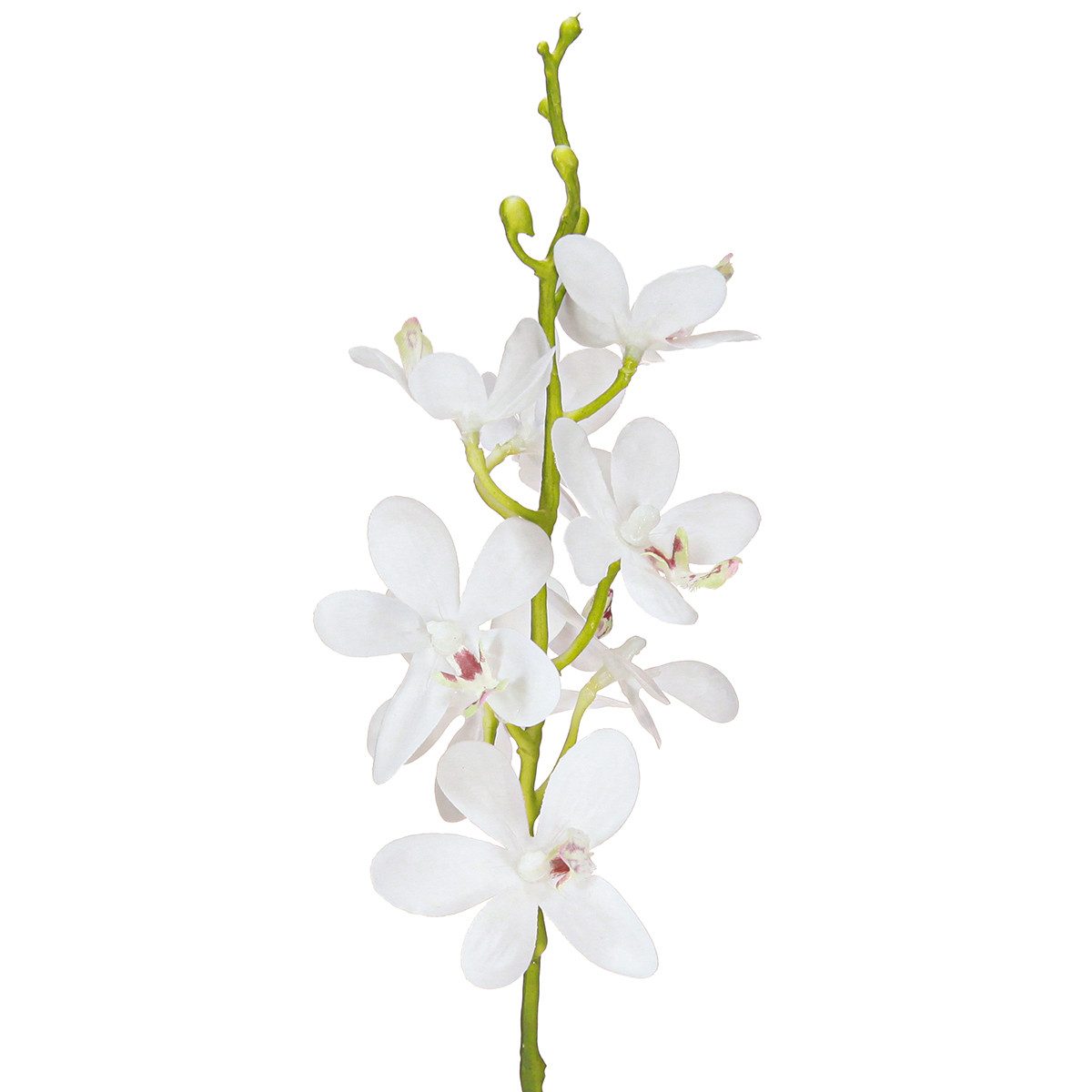 Kunstorchidee Künstliche Orchideen Weiß Ø3,5-5cm L38cm günstig online kaufen