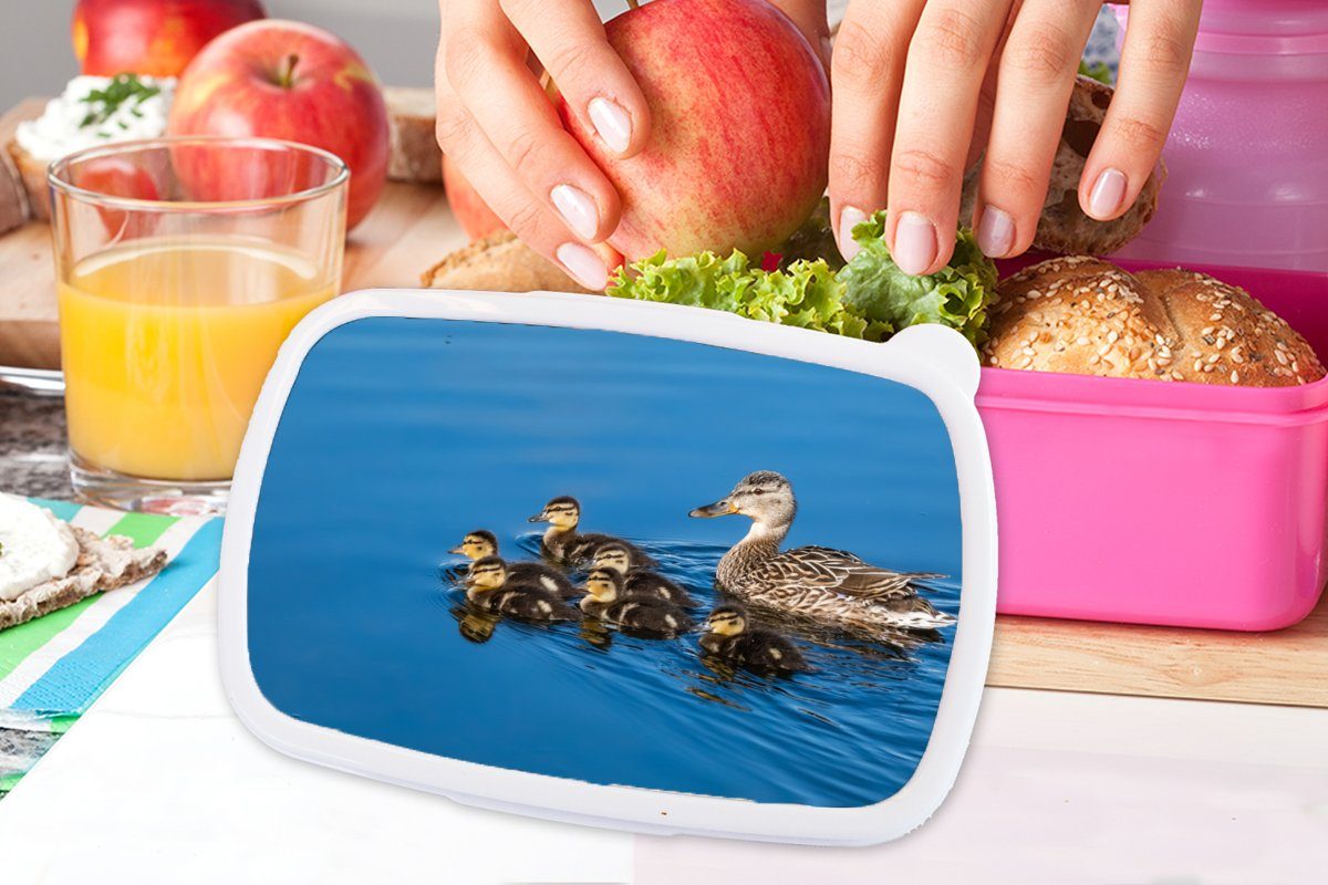 - Erwachsene, Wasser Brotbox für MuchoWow Mädchen, Kunststoff, Ente Kunststoff Braun, Vogel Kinder, (2-tlg), - - rosa Brotdose Snackbox, Lunchbox