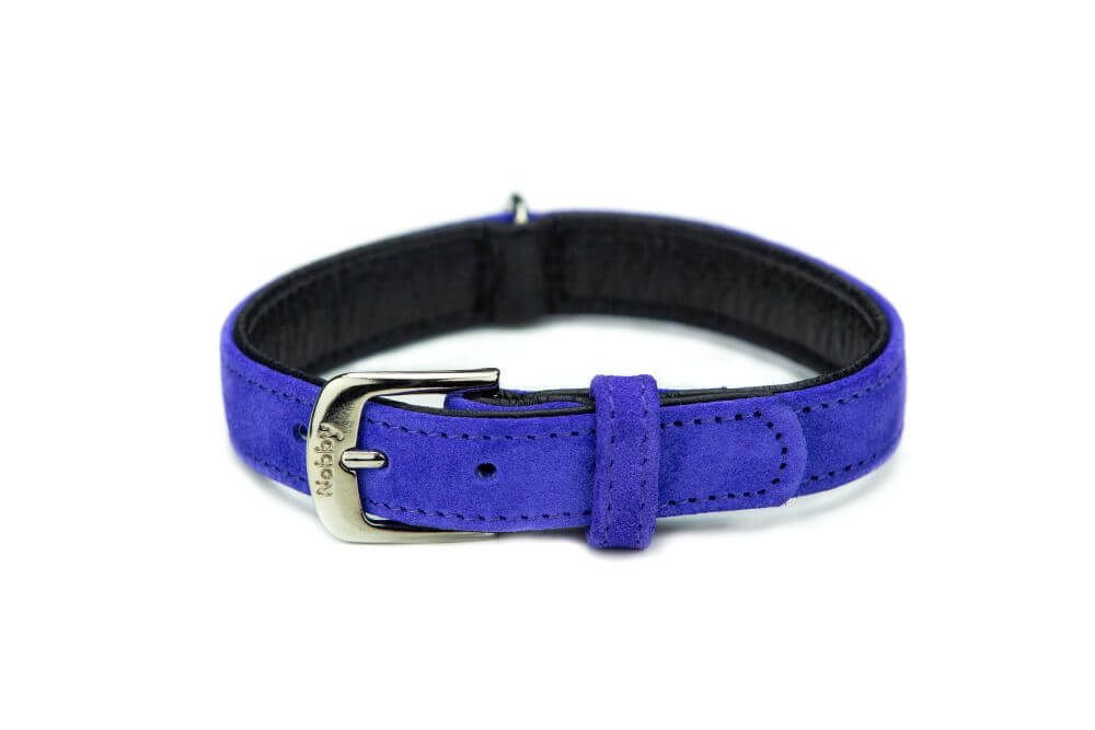 Nobby Hunde-Halsband Halsband "VELOURS", lila, XS