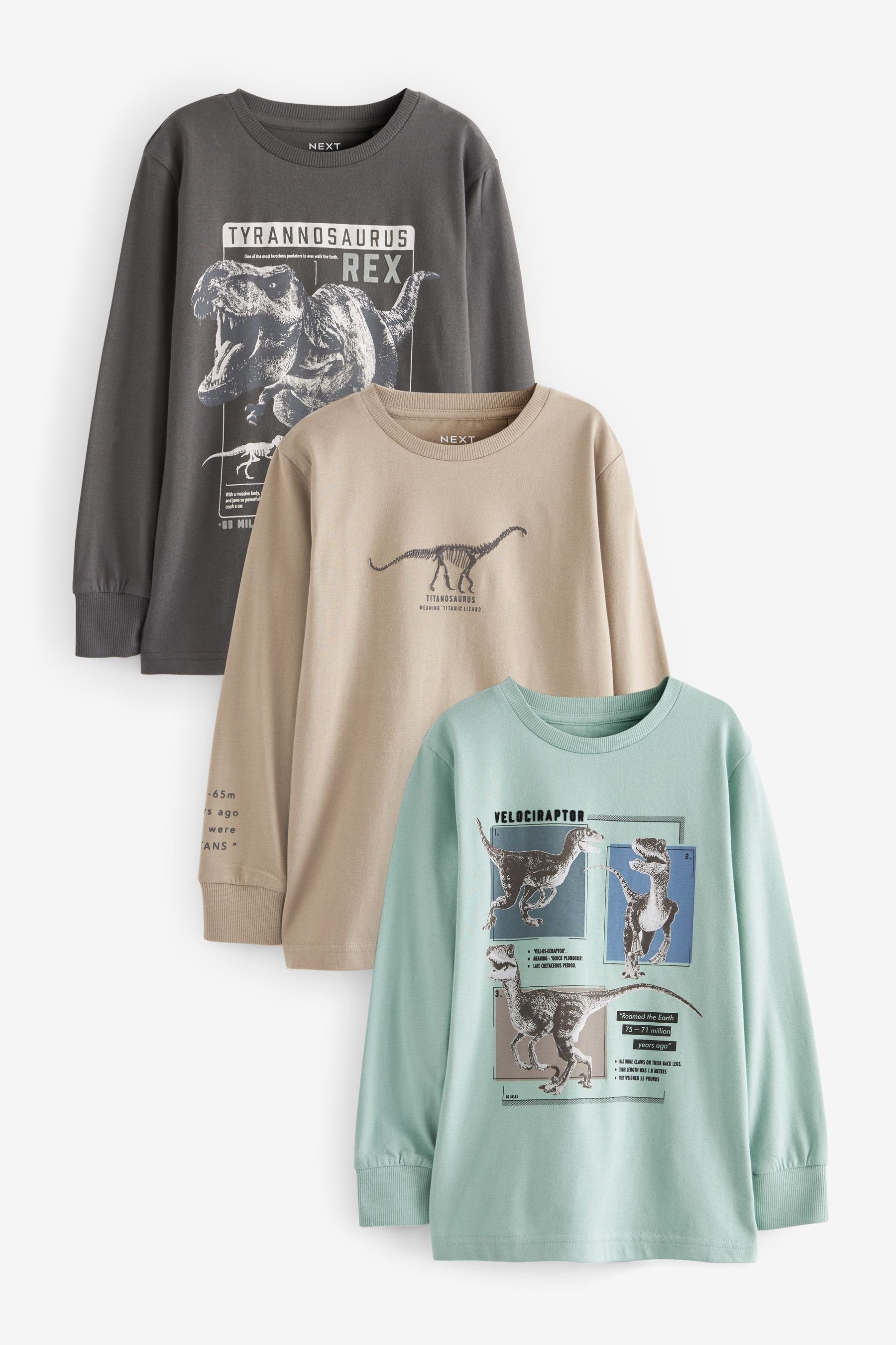 Next Langarmhemd 3er-Pack Langarmshirts mit Grafik (3-tlg) Mineral Dinosaurs