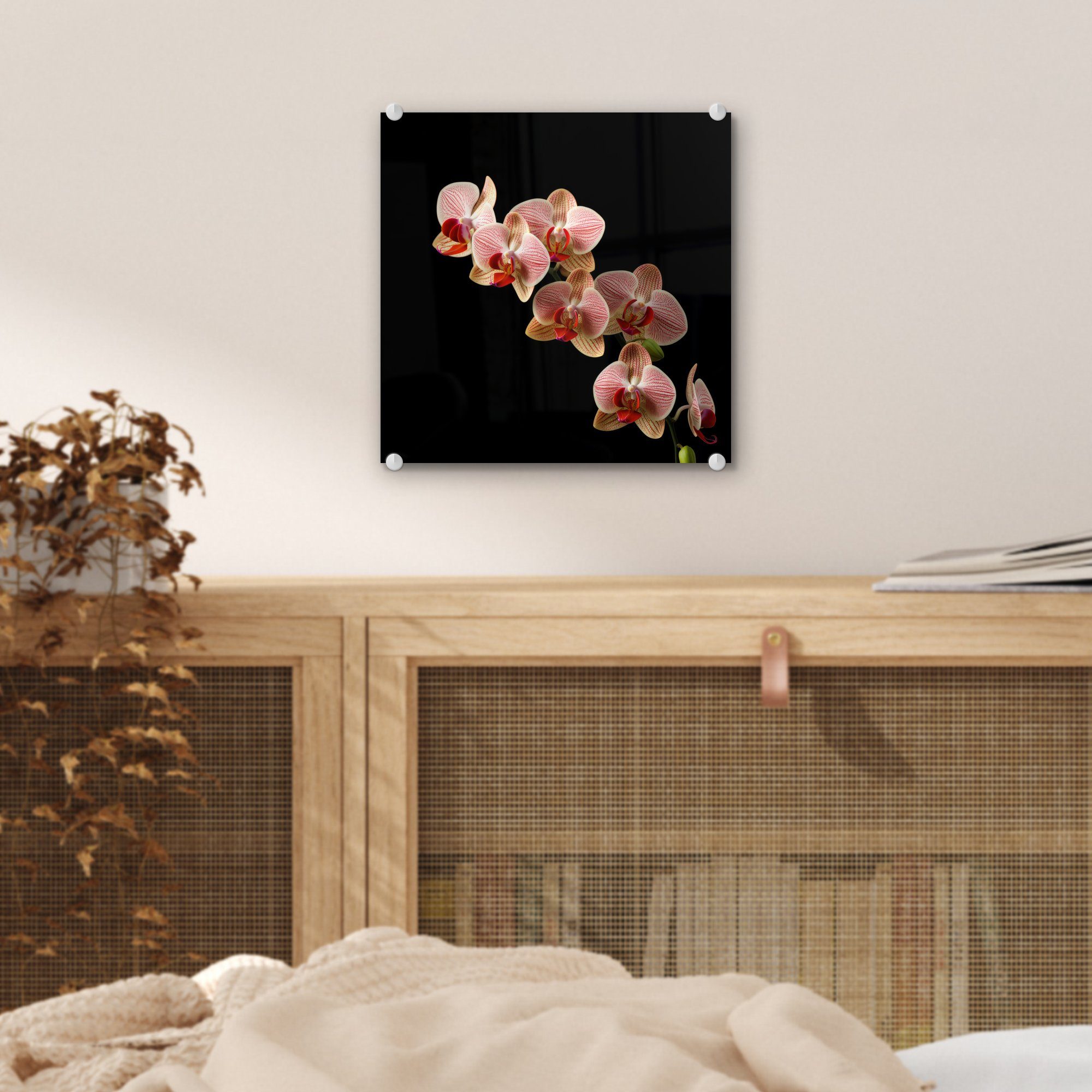 Wanddekoration Glas - Rosa - - auf Bilder Glasbilder auf - Orchidee (1 Botanisch Blumen Natur, - Glas Foto Acrylglasbild - MuchoWow Wandbild St), -