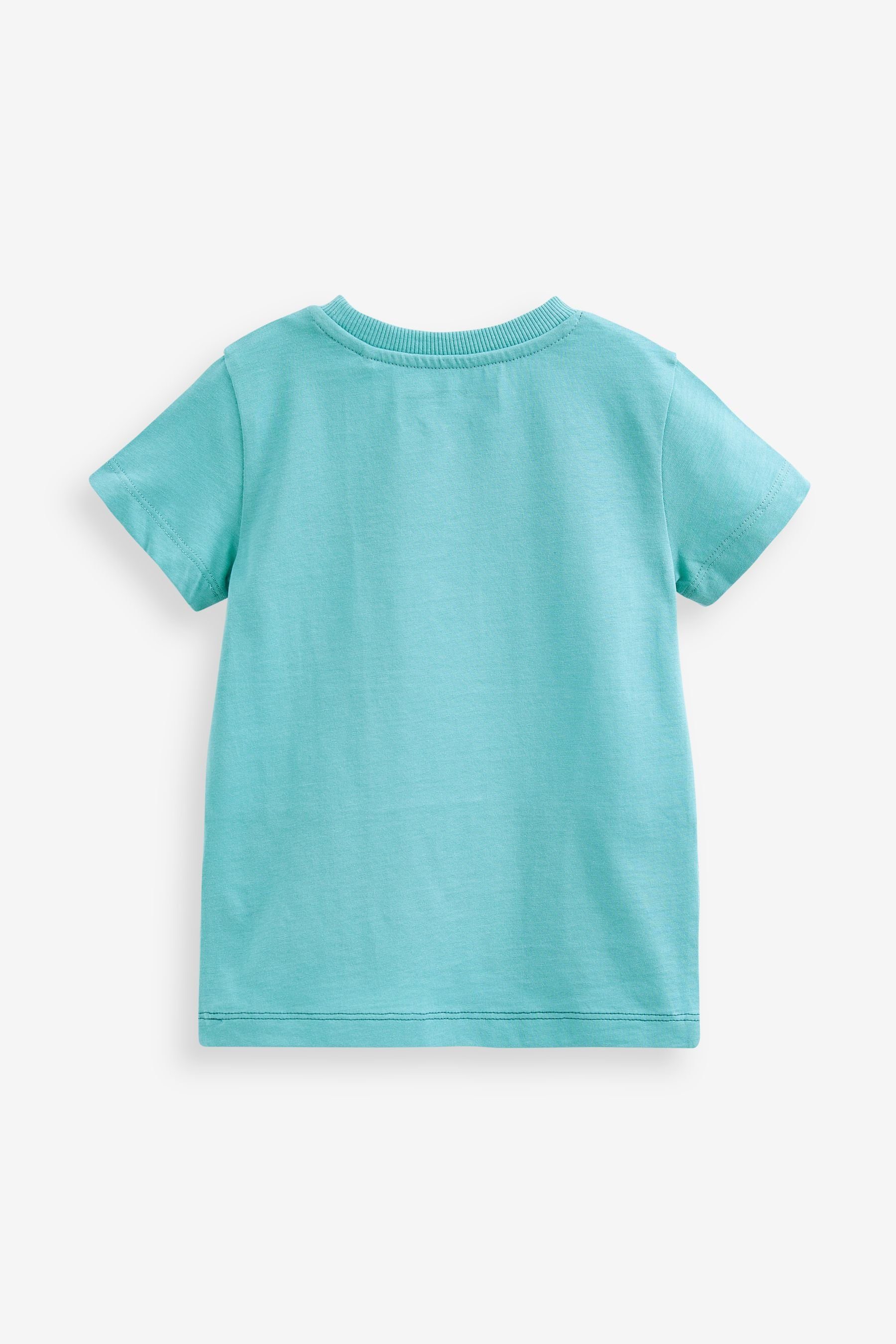 in Next Colourblock-Optik (1-tlg) T-Shirt Stripe Blue/White T-Shirt