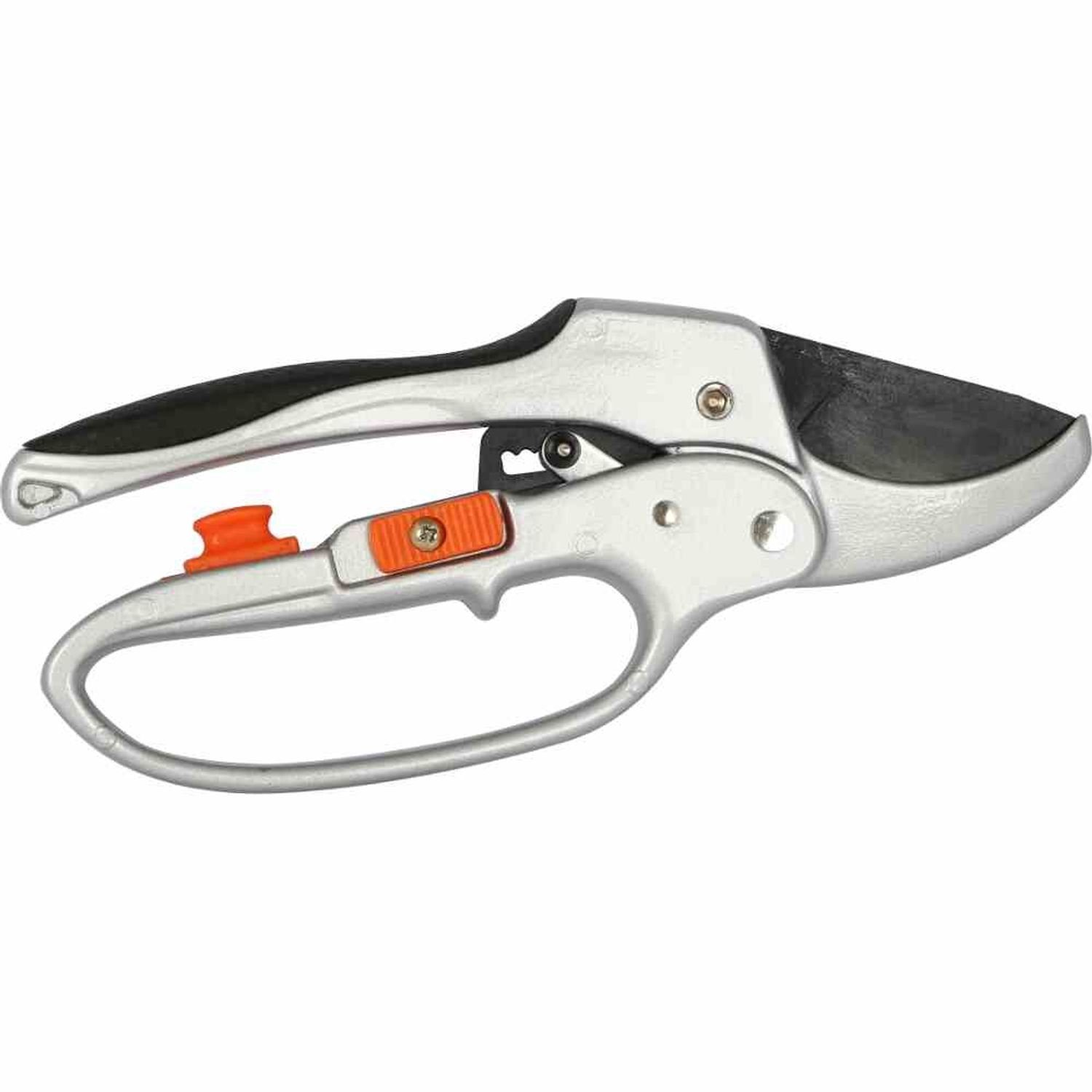 Siena Garden Grasschere Ratschenschere CG2010 Länge: 20,5 cm