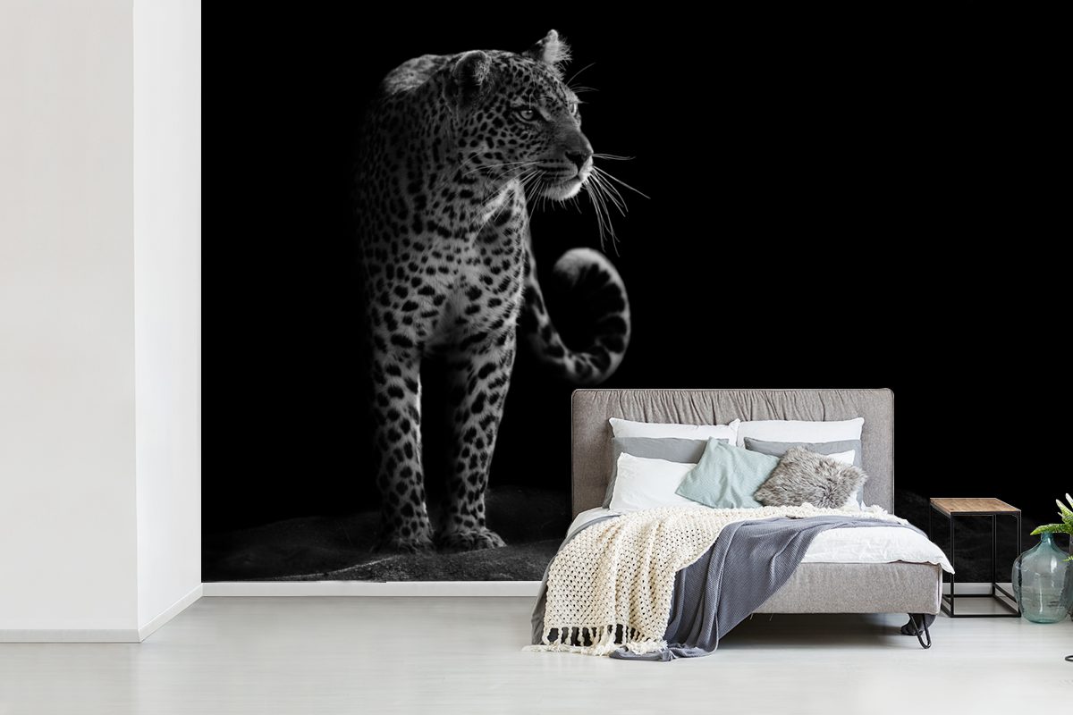 Fototapete Schlafzimmer, Matt, bedruckt, Wohnzimmer, - Weiß, für - St), Schwarz Vinyl Tapete Kinderzimmer, MuchoWow (6 Leopard Wallpaper