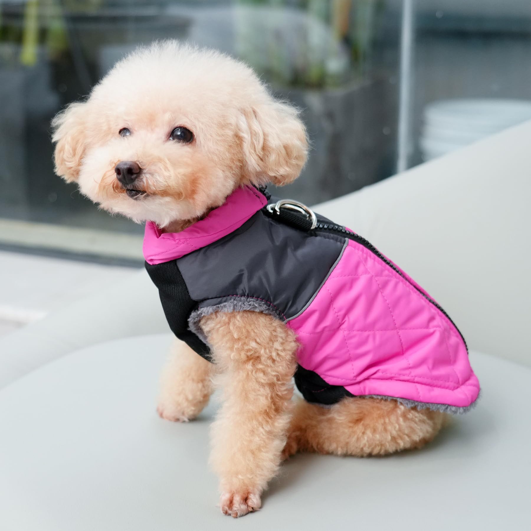 Ledander Hundekostüm Hundejacke Winterweste Jacken Hundemantel Hundepullover, Haustier Skifahren Kostüm Ärmellose, in mehreren Größen erhältlich