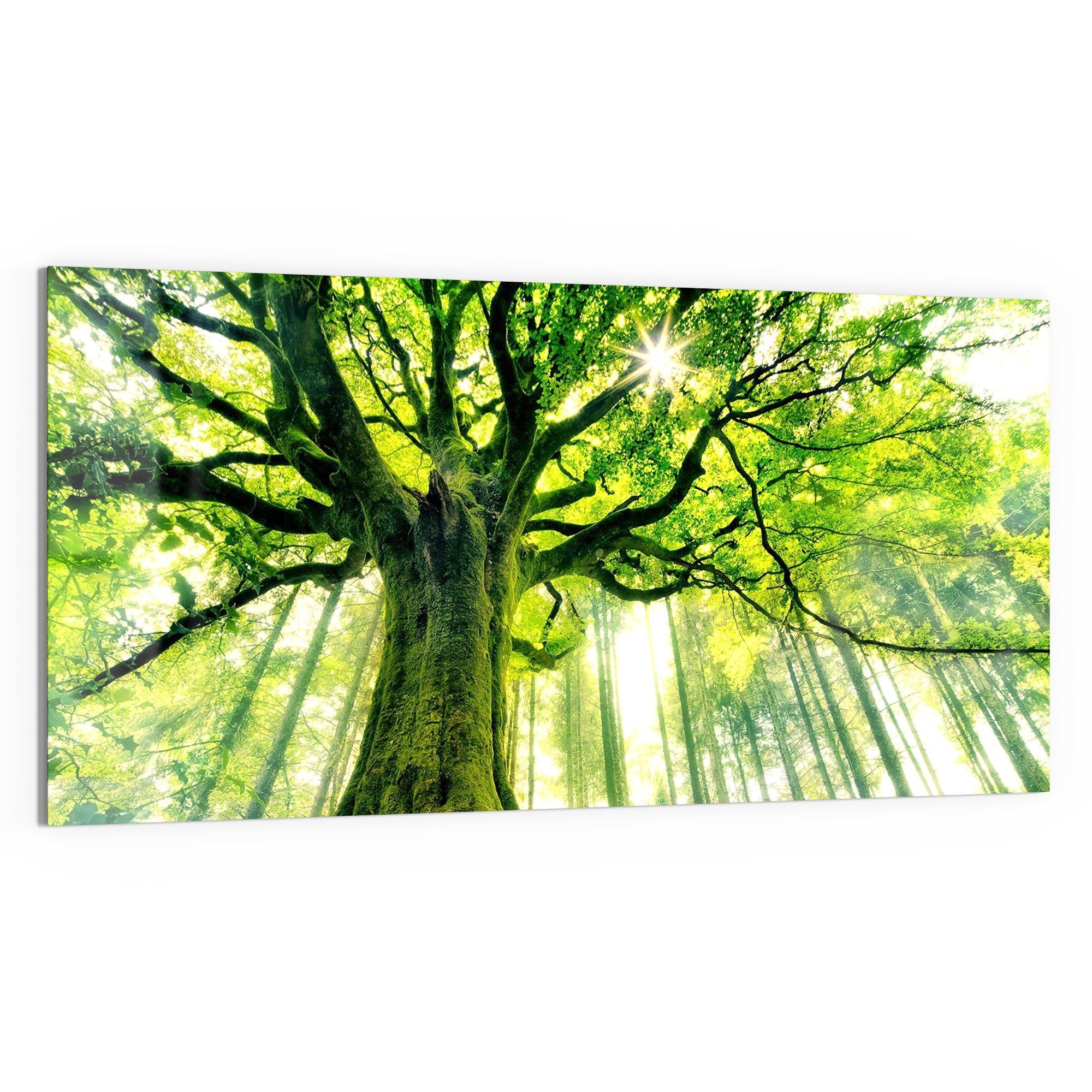 DEQORI Glasbild 'Eindrucksvoller Baum', 'Eindrucksvoller Baum', günstig online kaufen