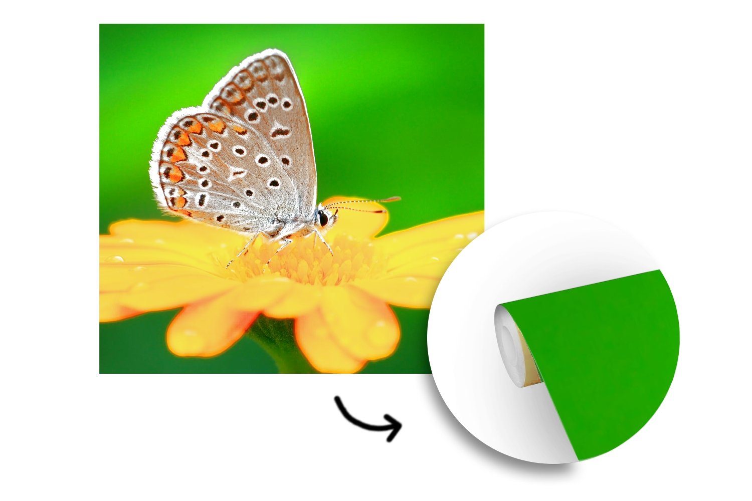 MuchoWow Fototapete Blumen oder Schmetterling Tapete Matt, - (5 - für Wandtapete Schlafzimmer, Vinyl Wohnzimmer bedruckt, St), Natur