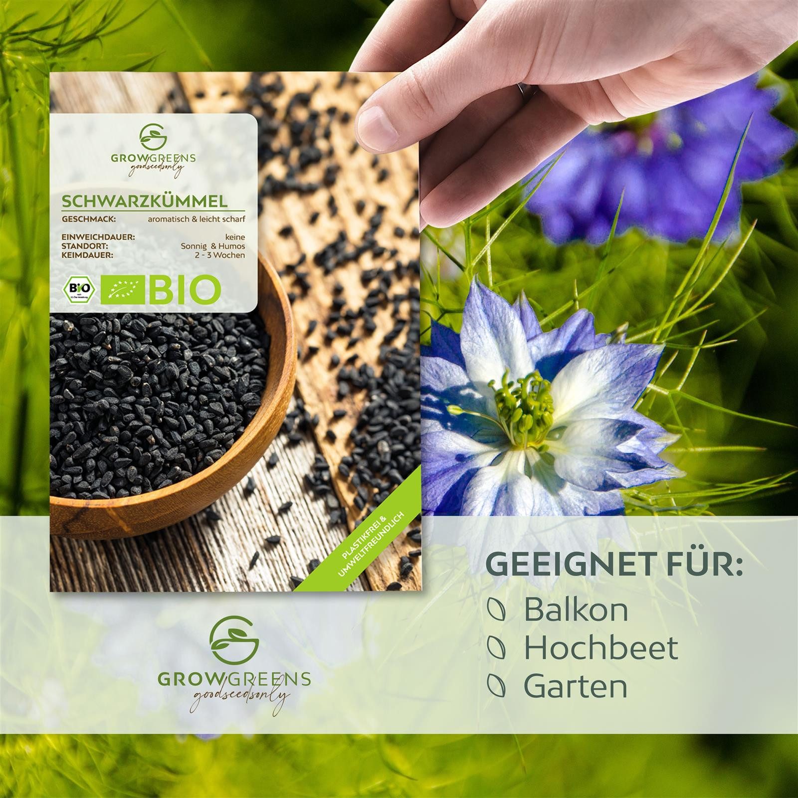 Growgreens Kräutersamen BIO Schwarzkümmelsamen - Kräuter Saatgut aus bio. A günstig online kaufen