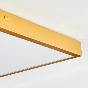 hofstein Deckenleuchte moderne Deckenlampe aus Metall/Kunststoff in Goldfarben/Weiß, LED fest integriert, 3000 Kelvin, eckige Leuchte, 45 cm x 45 cm, 350 Lumen, LED 30 Watt