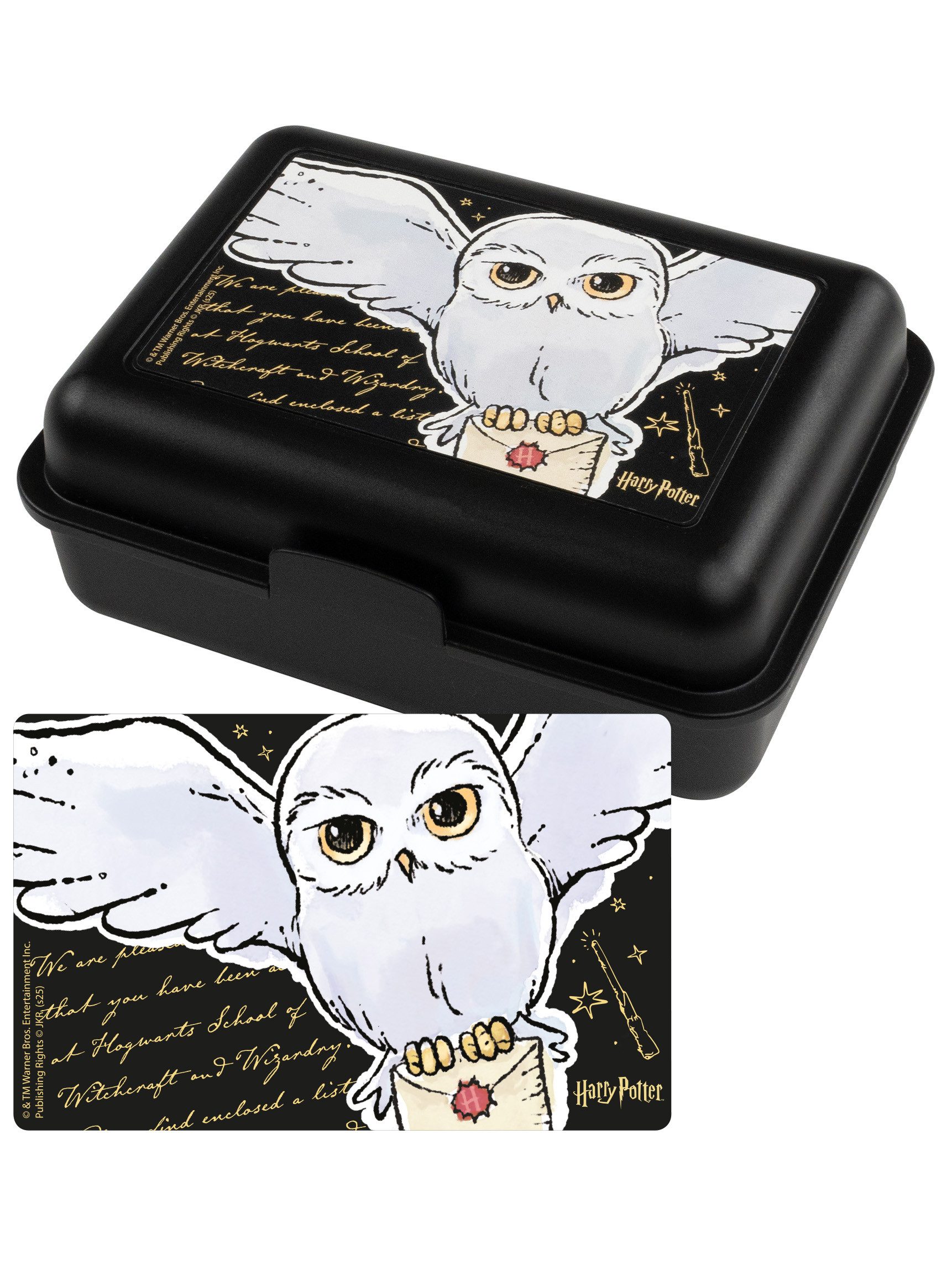 United Labels® Lunchbox Harry Potter Brotdose Hedwig Eule Lunchbox Butterbrotdose Trennwand, Kunststoff (PP)