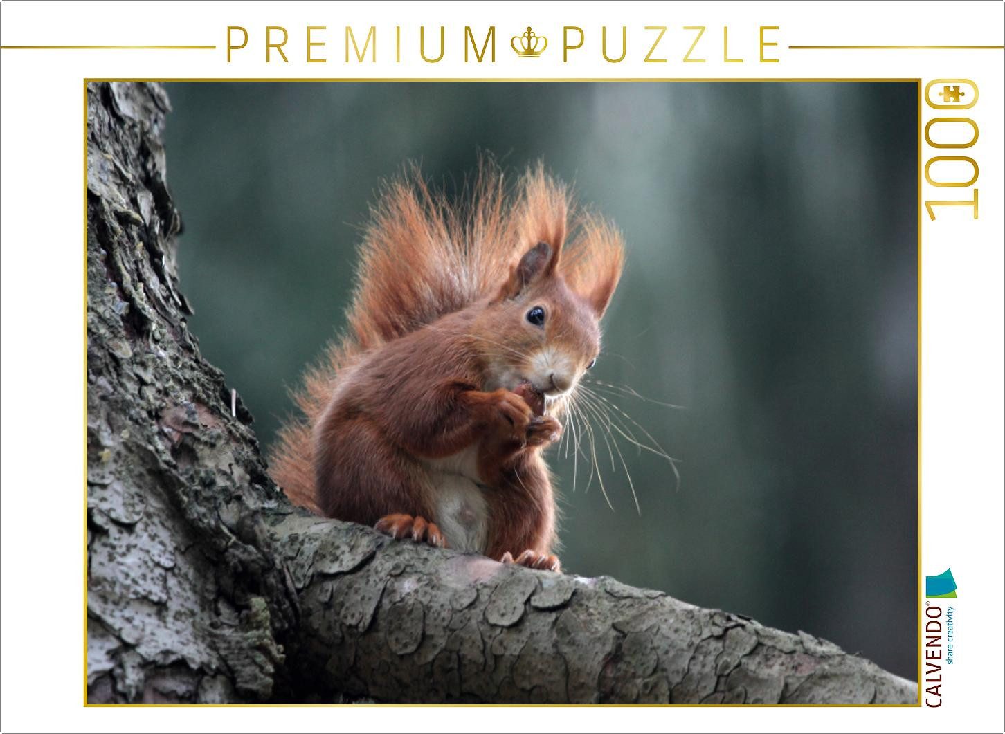 CALVENDO Puzzle CALVENDO Puzzle Eichhörnchen 1000 Teile Puzzle quer, 1000 pieces, fin, 1000 Puzzleteile