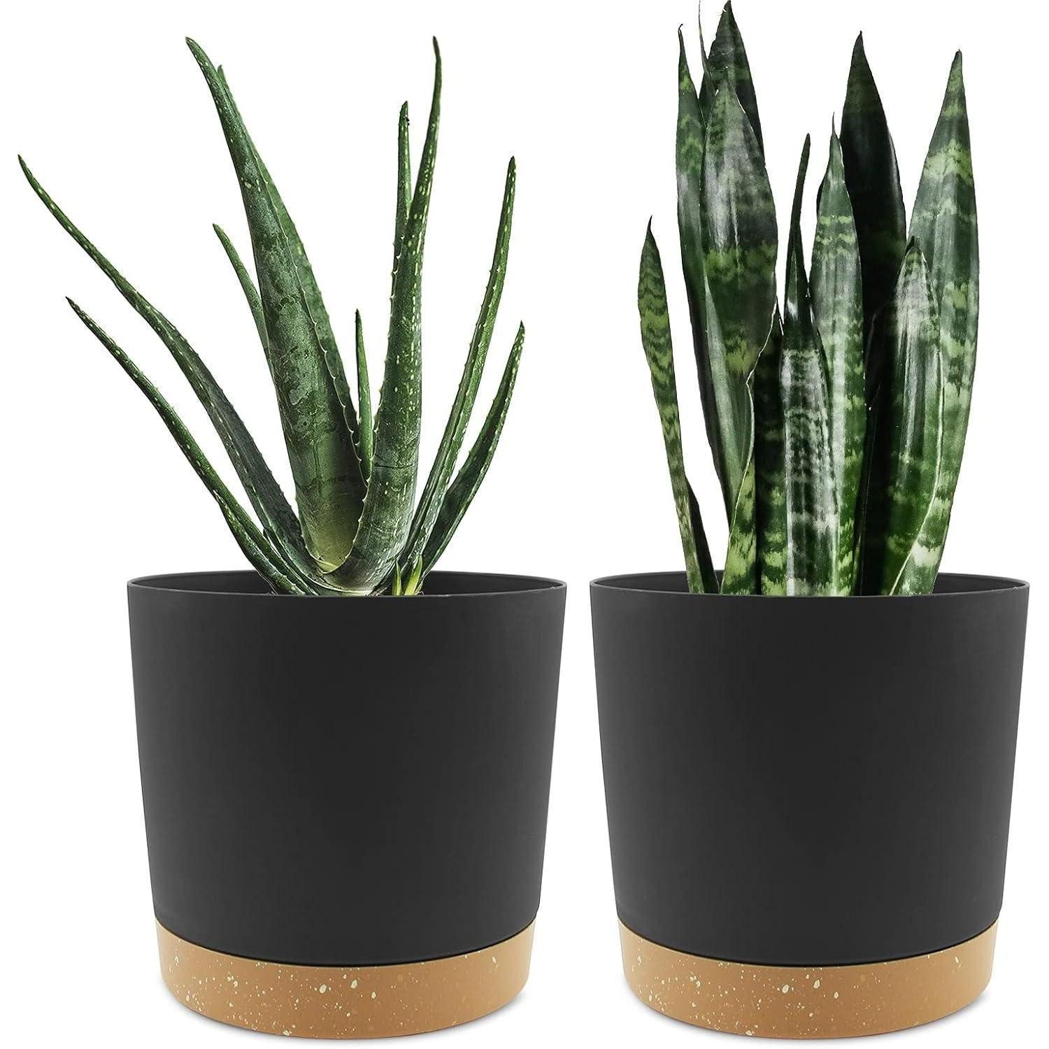 LuxusKollektion Blumentopf Blumentopf 2er Set 20,5cm Dunkelgrau