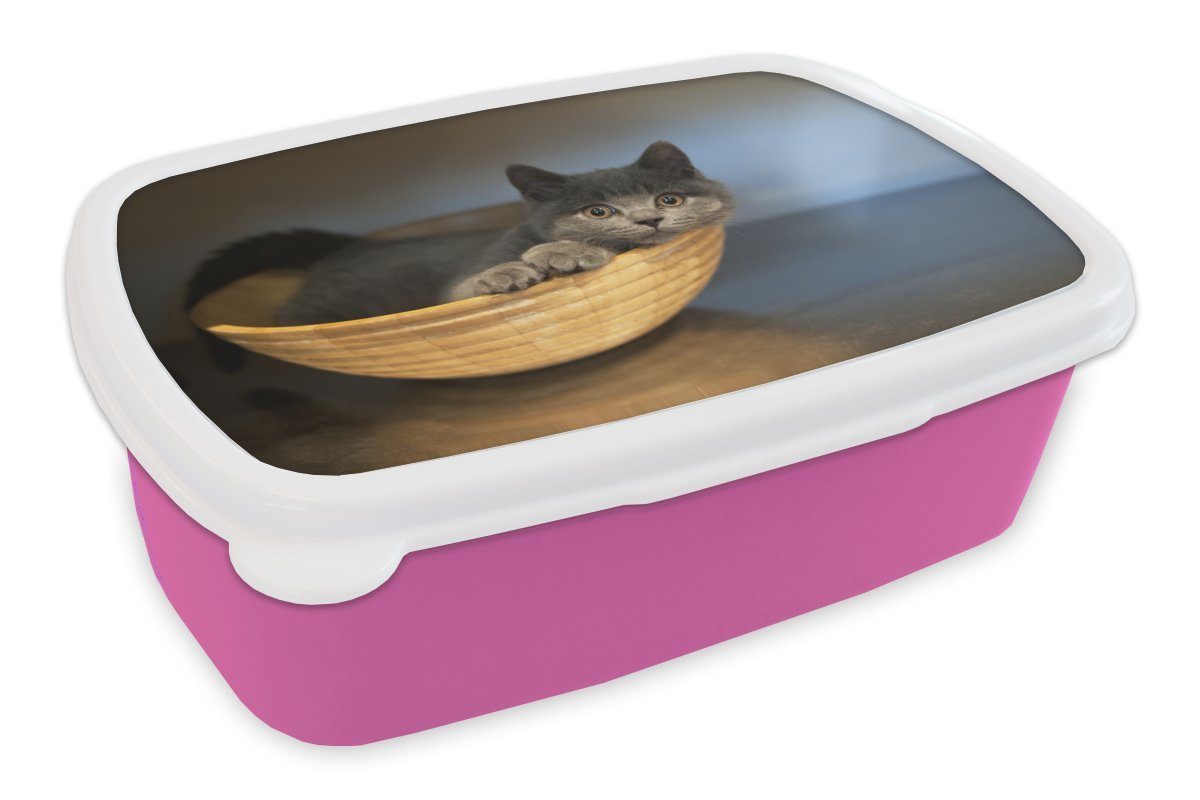 MuchoWow Lunchbox Foto einer Britisch Kurzhaar in einer Holzschale, Kunststoff, (2-tlg), Brotbox für Erwachsene, Brotdose Kinder, Snackbox, Mädchen, Kunststoff rosa