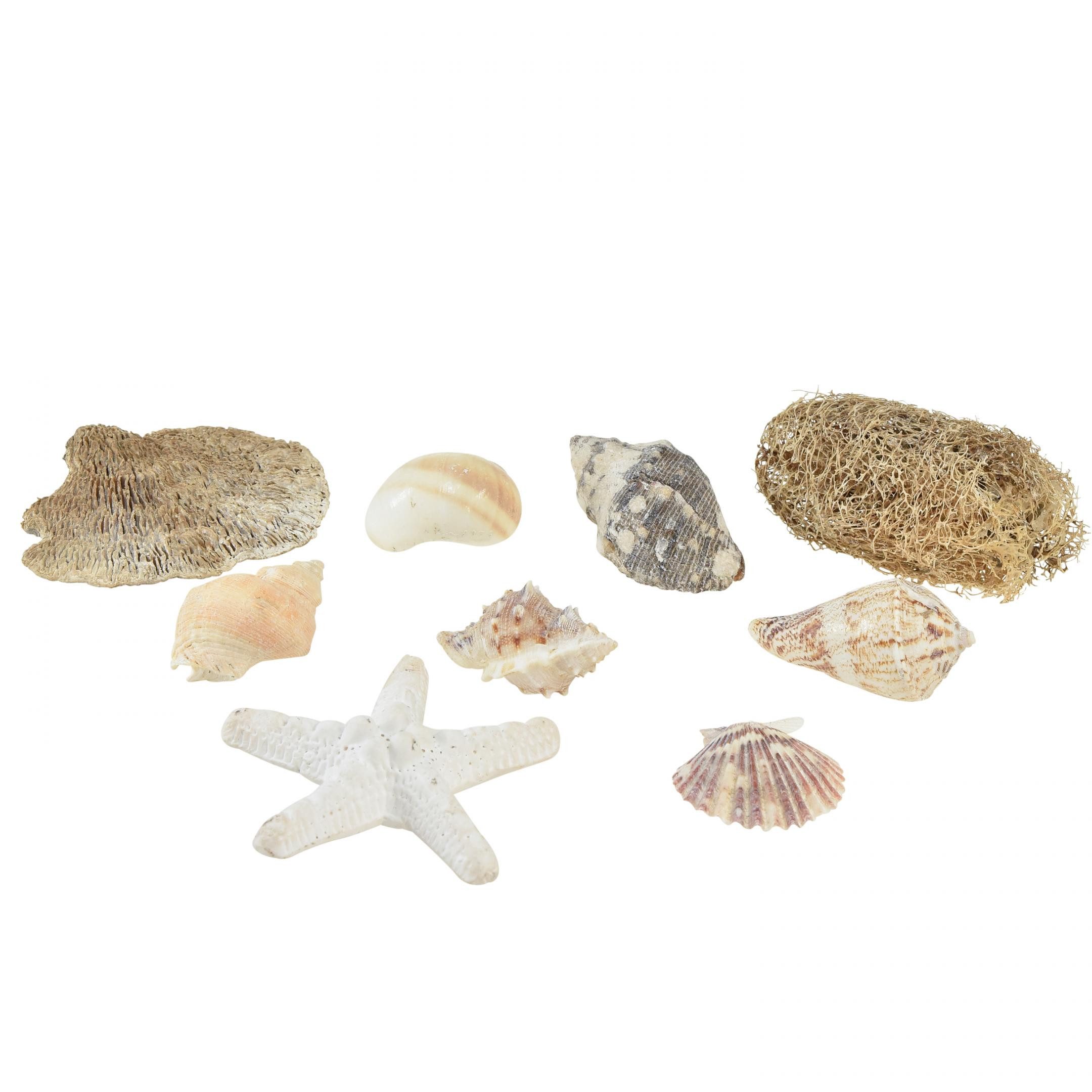Bastelnaturmaterial Maritime Muschel Tischdeko Natur Weiß 400g