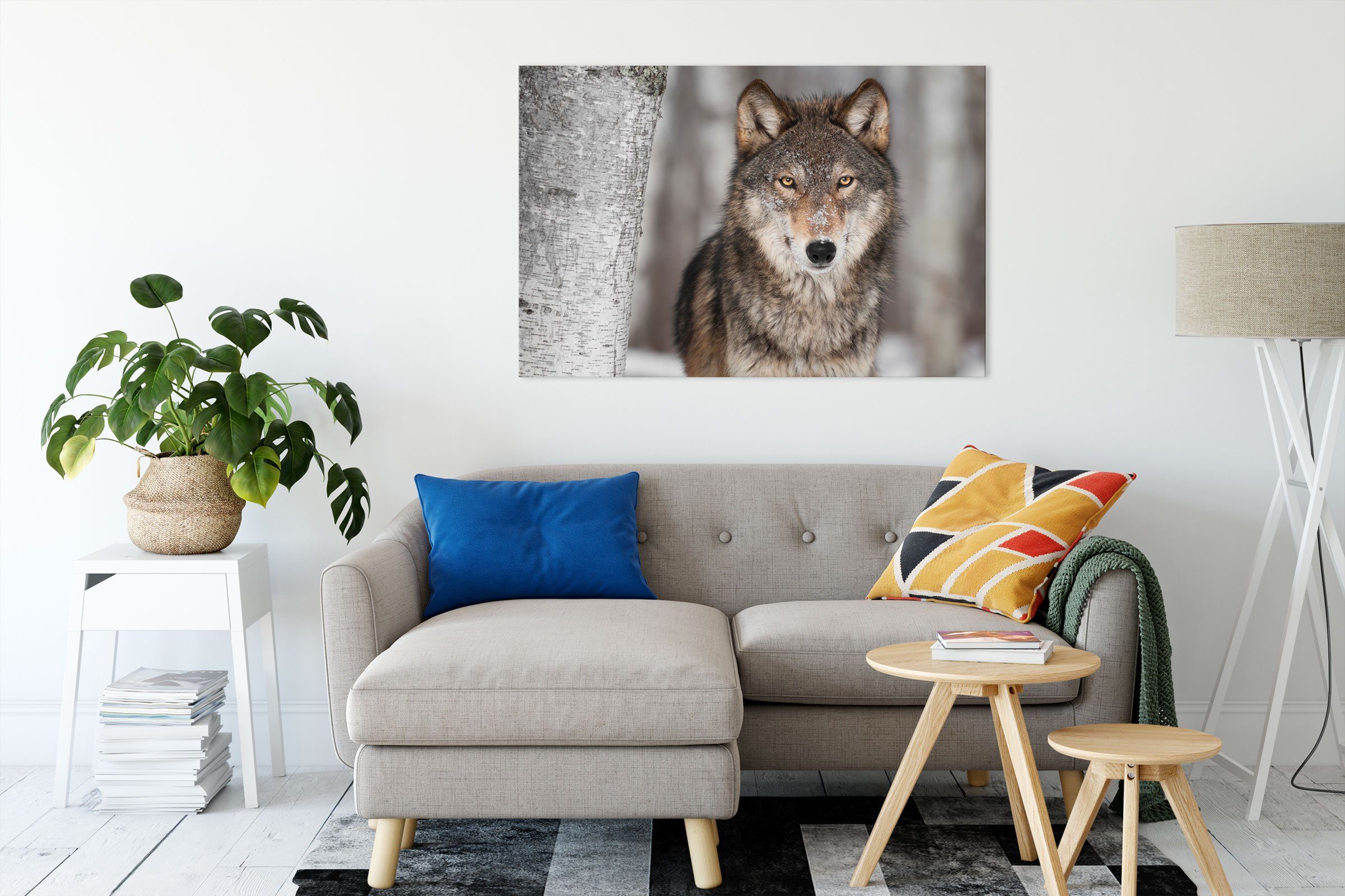 Zackenaufhänger inkl. Wolf Wolf, Wachsamer St), Pixxprint Leinwandbild Leinwandbild Wachsamer fertig (1 bespannt,