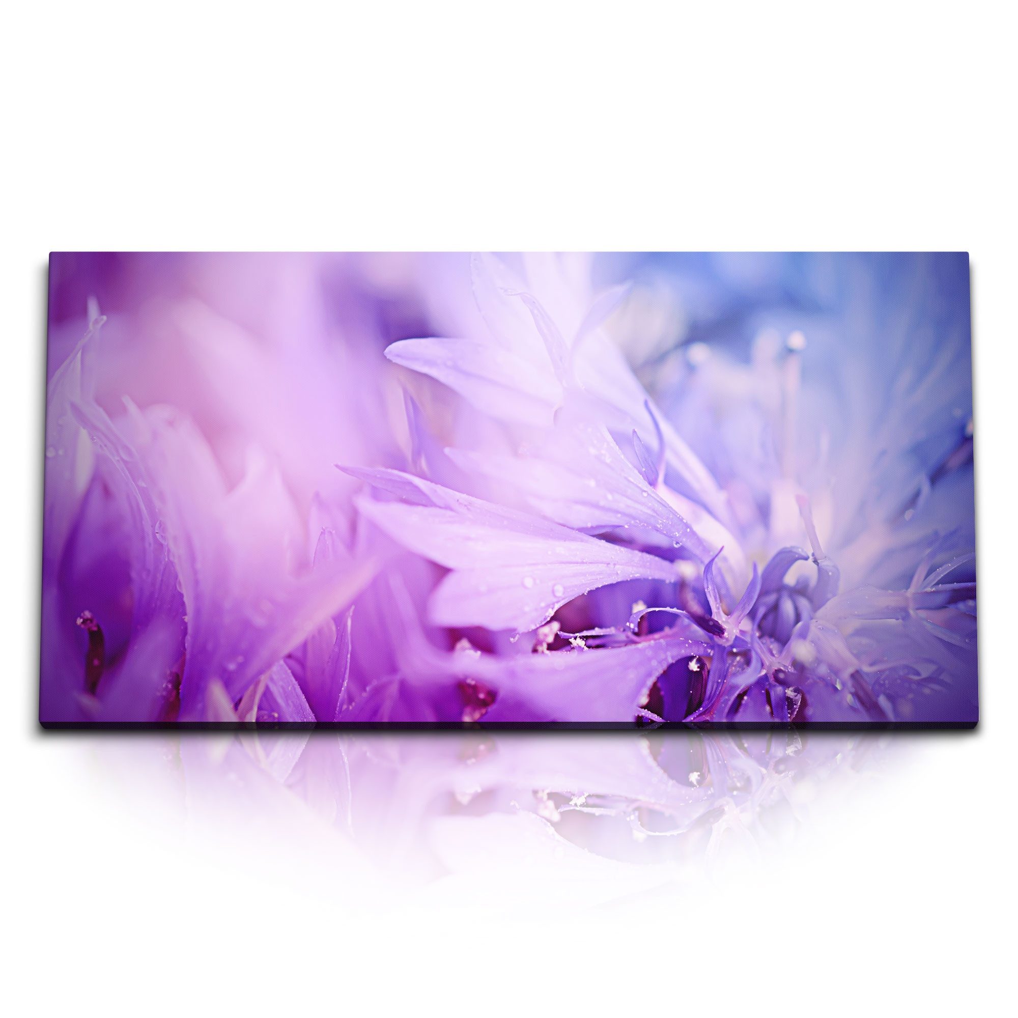 Leinwandbild Kunstdruck Bilder 120x60cm Blumen Blüten Fotokunst Violett Regentropfe