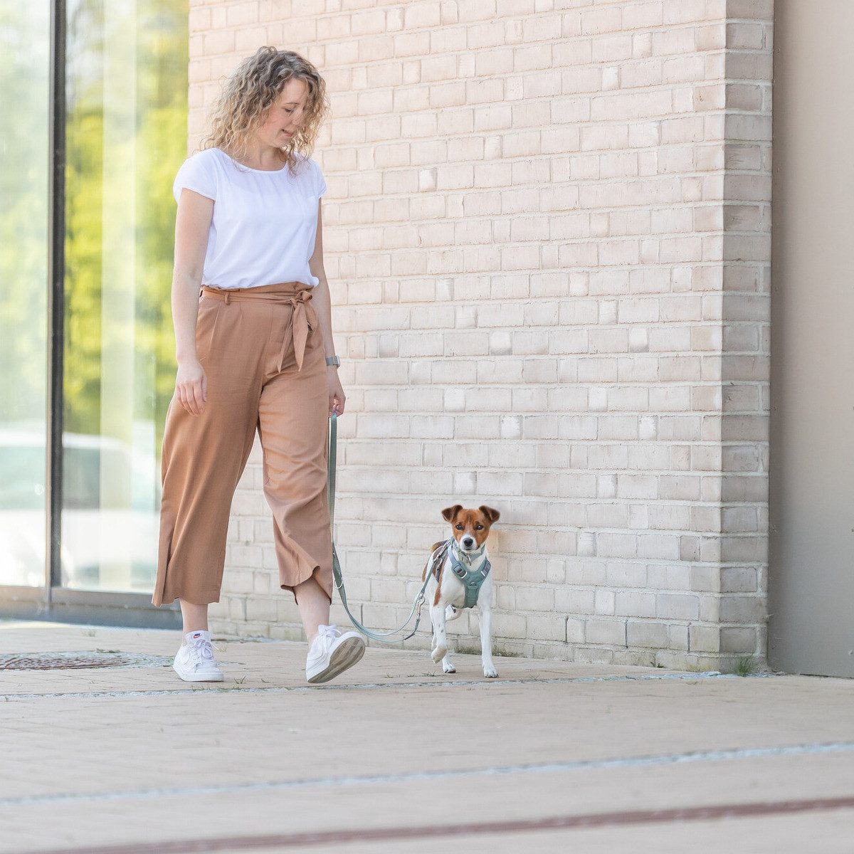TRIXIE Hunde-Geschirr Premium Active Geschirr salbei günstig online kaufen