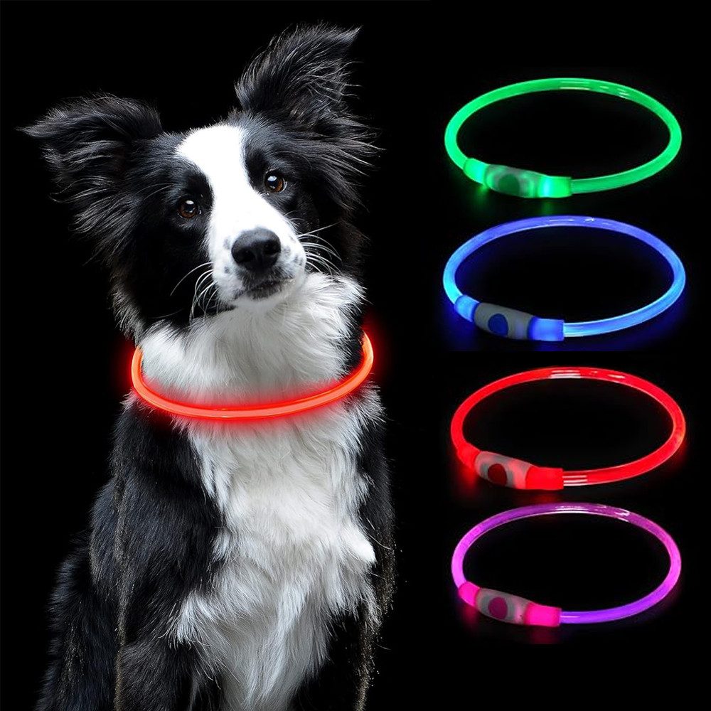 zggzerg Tier-Halsband Leuchthalsband Hund,Halsband Leuchtend Aufladbar mit 3Beleuchtungsmodi