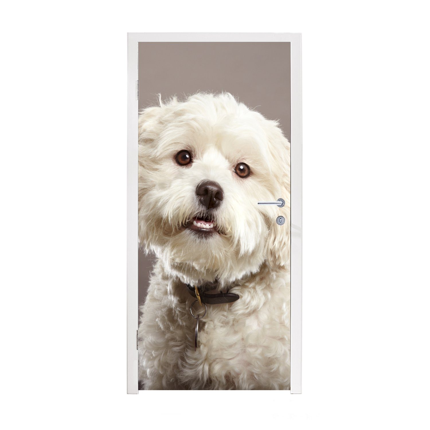 MuchoWow Türtapete Malteser Hund Porträt, Matt, bedruckt, (1 St), Fototapete für Tür, Türaufkleber, 75x205 cm