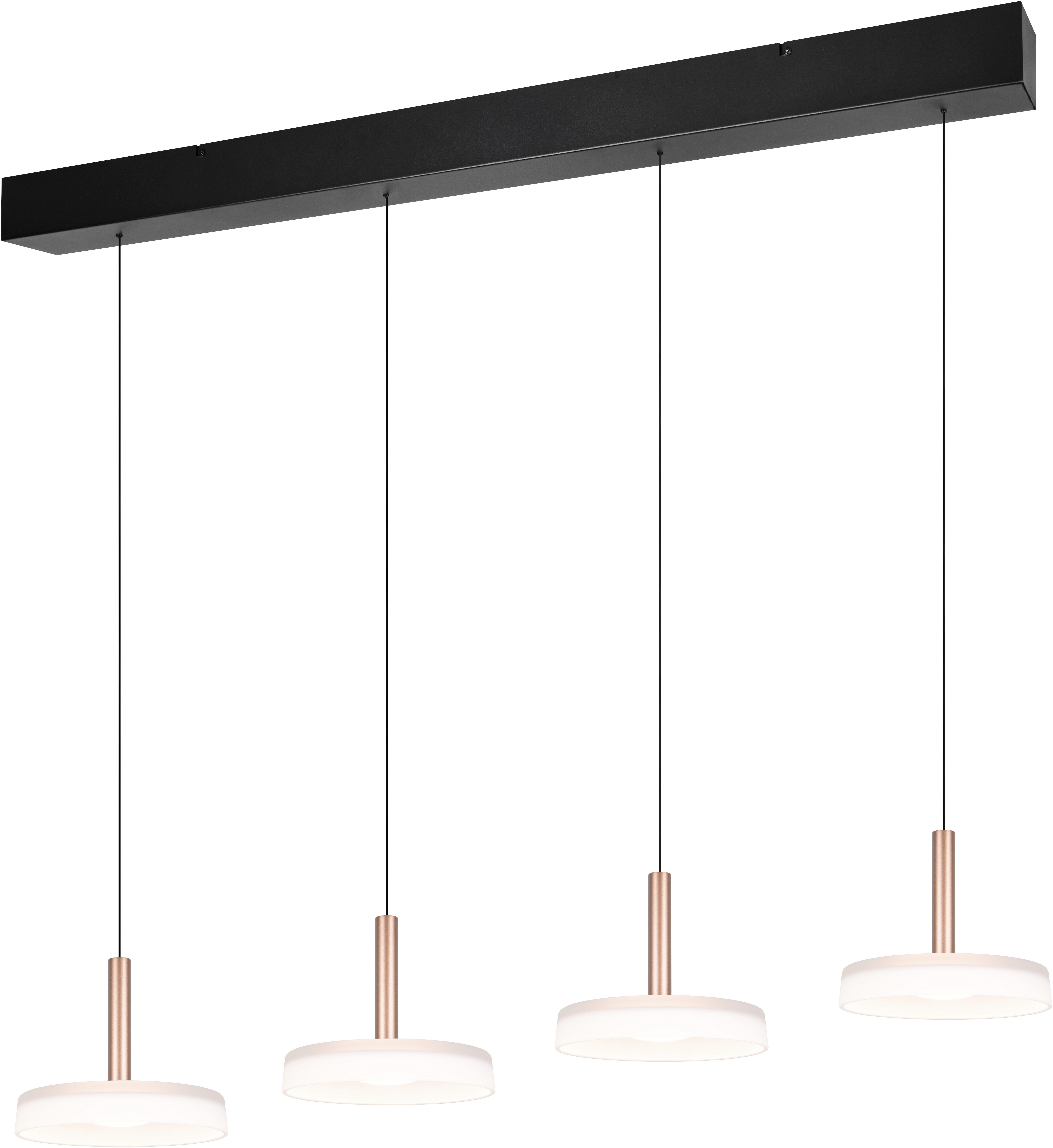 TRIO Leuchten LED Pendelleuchte CELESTE dimmbare günstig online kaufen