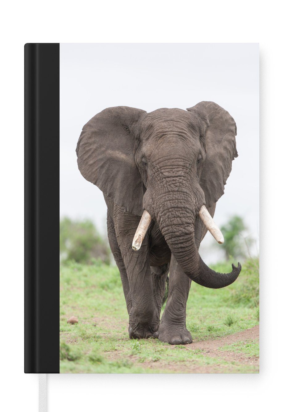 MuchoWow Notizbuch Elefant - Tiere Journal, Tagebuch, 98 Gras Natur, Seiten, Haushaltsbuch - Notizheft, Merkzettel, - A5