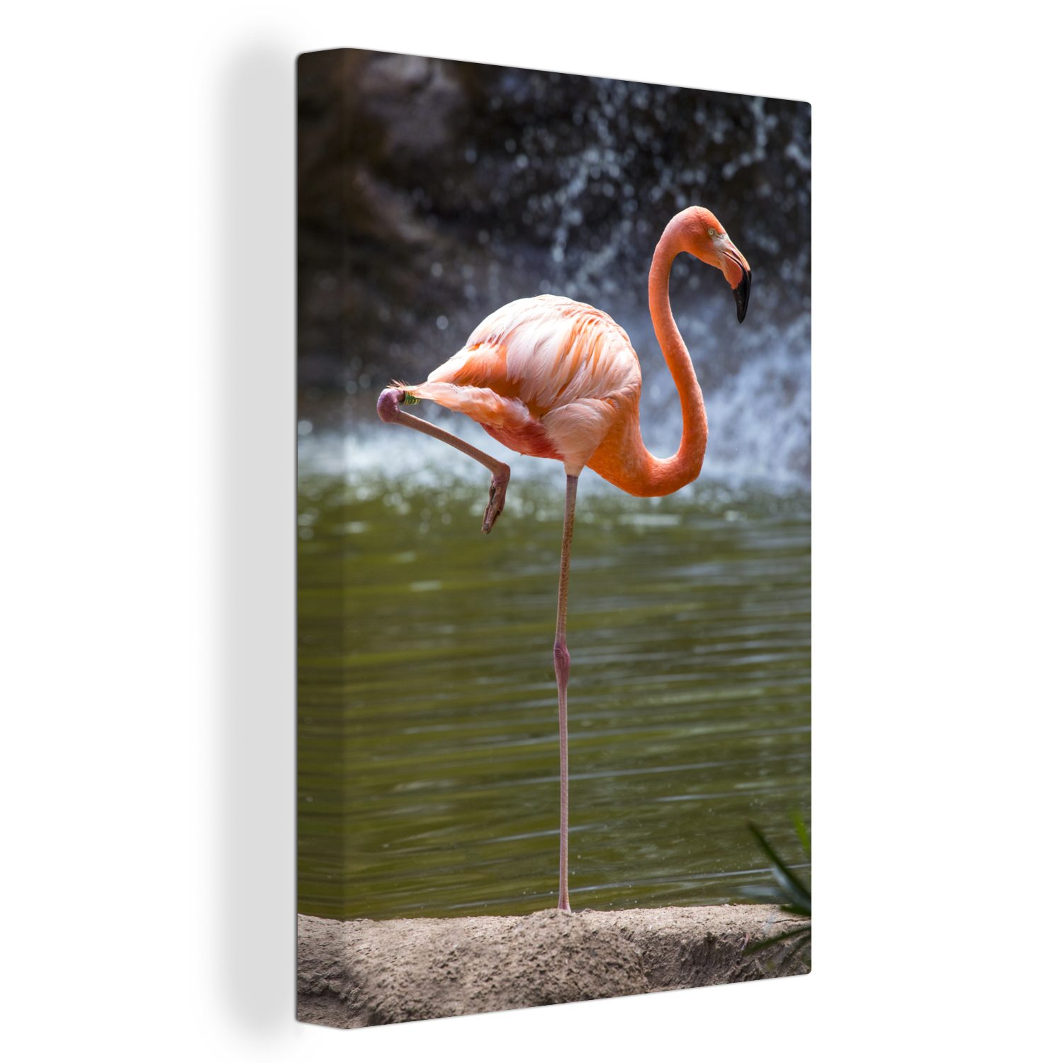 OneMillionCanvasses® Leinwandbild Ein Flamingo inkl. St), 20x30 Zackenaufhänger, Wasser, fertig Gemälde, (1 steht bespannt im cm Leinwandbild