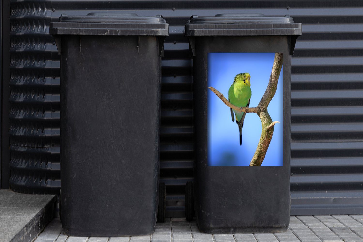 Container, Grüner hellblauem Wandsticker mit Sticker, (1 Hintergrund Mülltonne, MuchoWow Abfalbehälter St), Mülleimer-aufkleber, Sittich