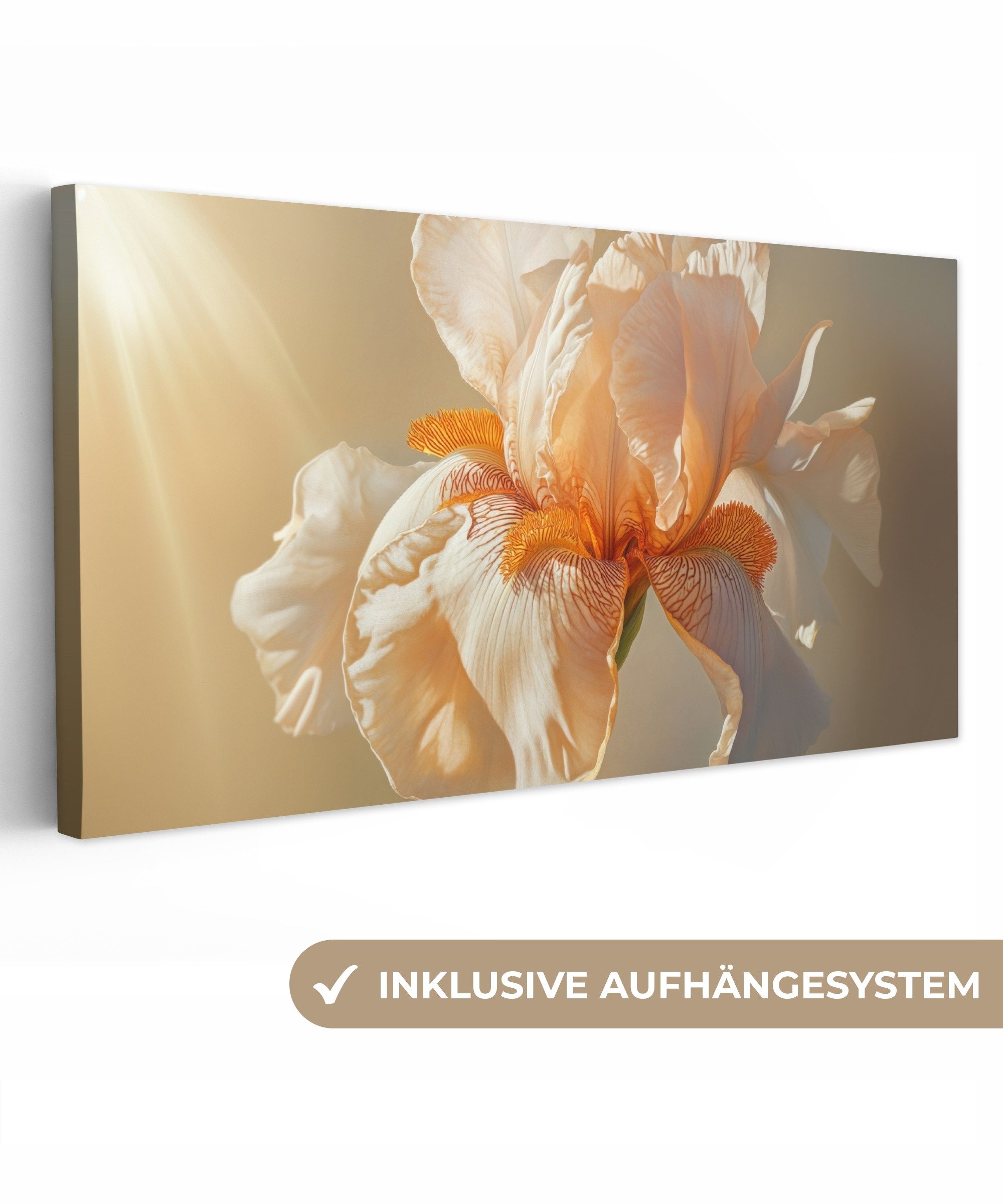 OneMillionCanvasses® Leinwandbild Panorama Nahaufnahme - Orange günstig online kaufen
