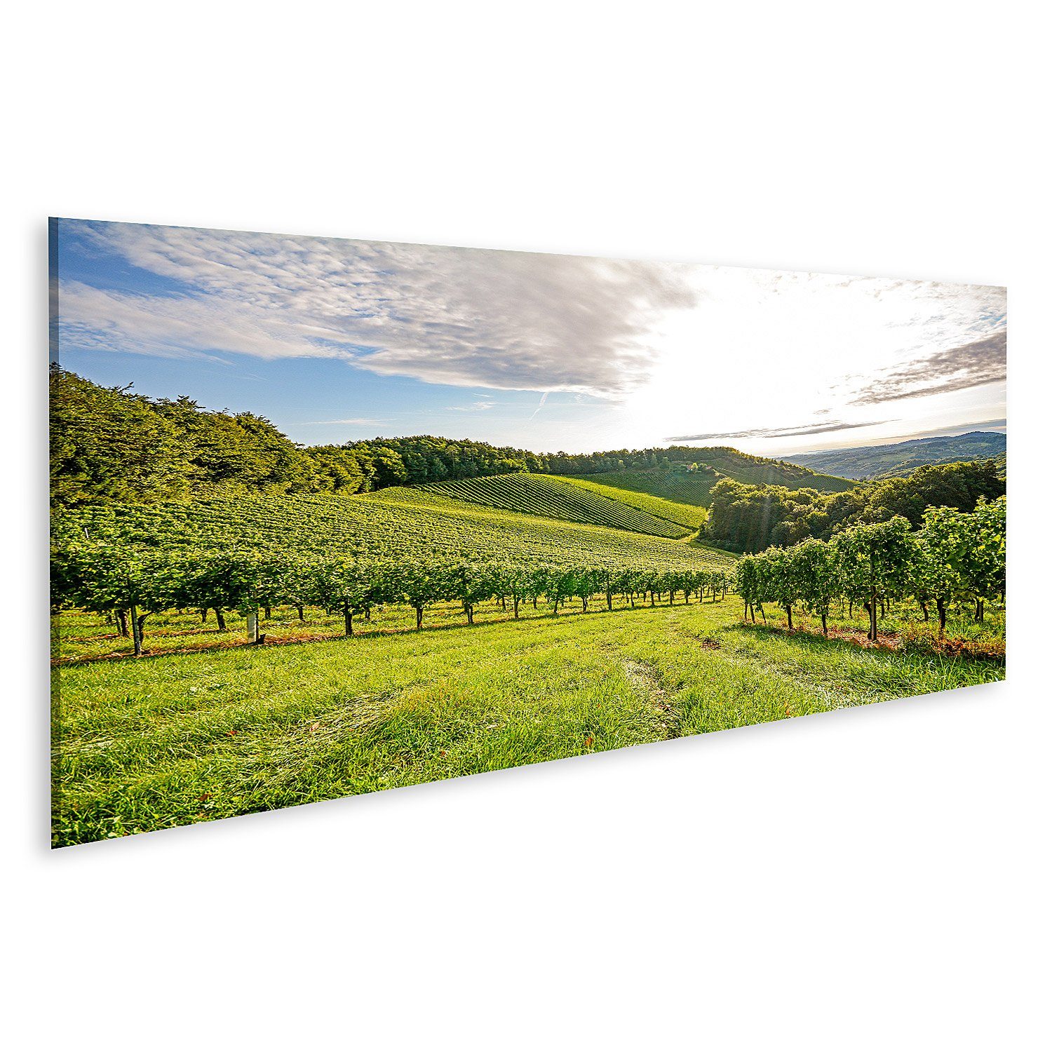 Leinwandbild Bild auf Leinwand Reben Weinberg Herbst Weintrauben Ernte Europa Wandb