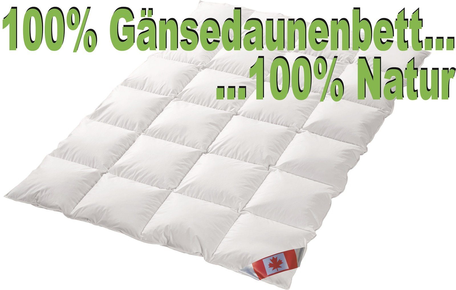 hergestellt in warm Premium Füllung: 100% Natur Winterdecke Deutschland Gänsedaune, Canada, Daunenbettdecke, 100% Gänsedaunen, Polaris