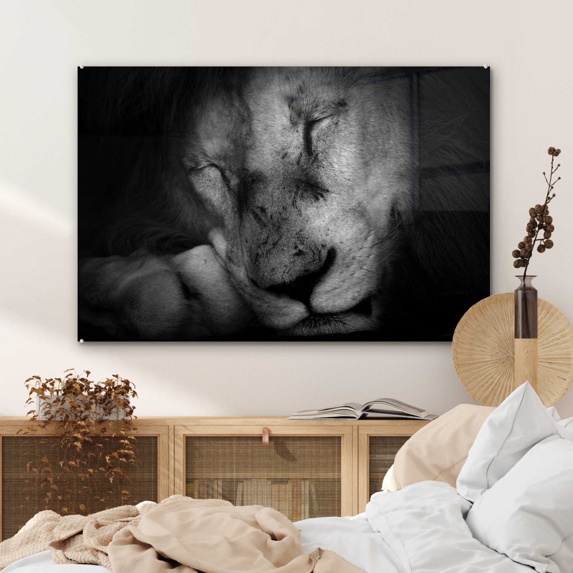 MuchoWow Acrylglasbild Löwe schwarz Wohnzimmer in und Acrylglasbilder schlafender & St), Schlafzimmer Tierprofil weiß, (1