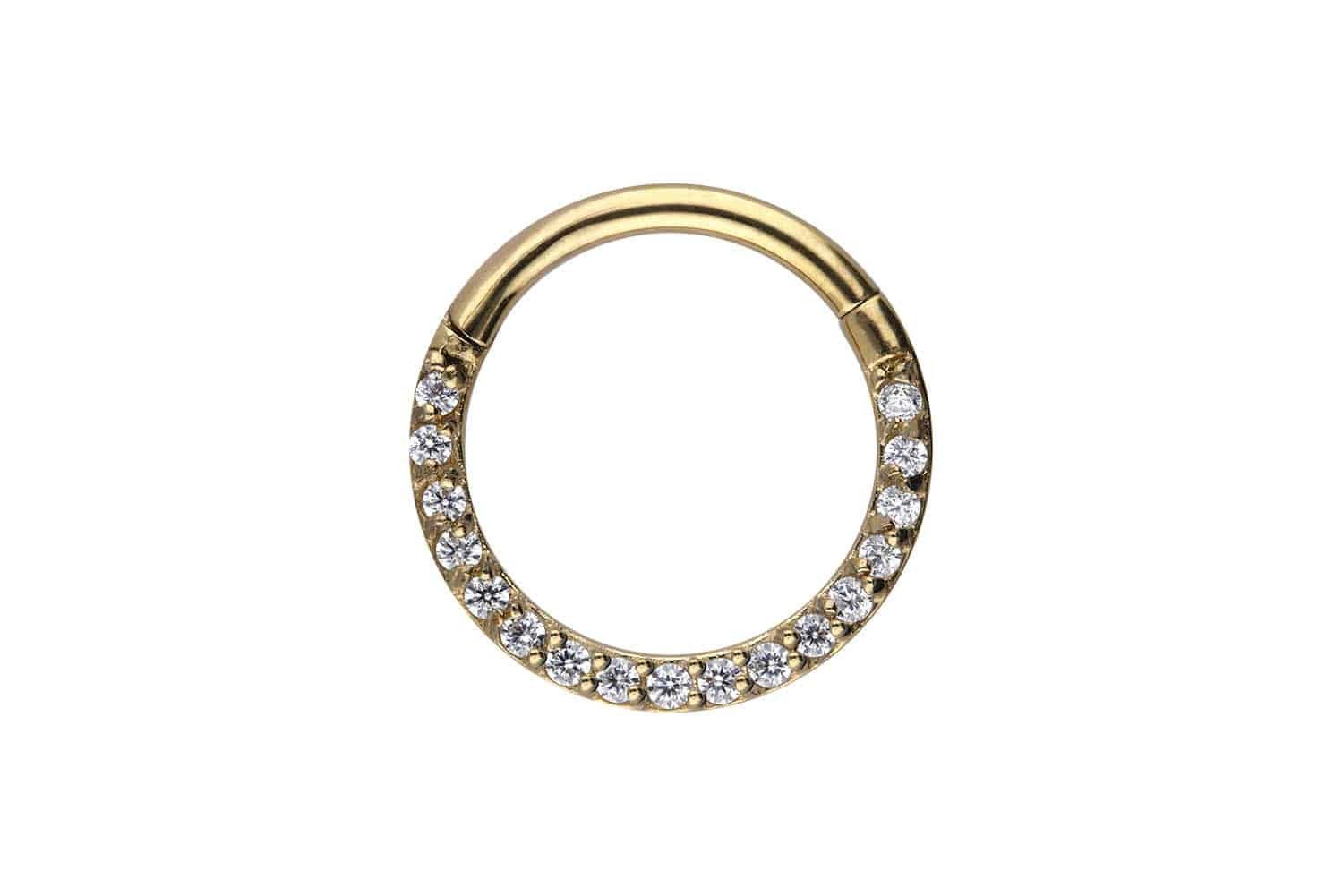 PIERCINGLINE Nasenpiercing Chirurgenstahl Segmentring Clicker EINGEFASSTE günstig online kaufen