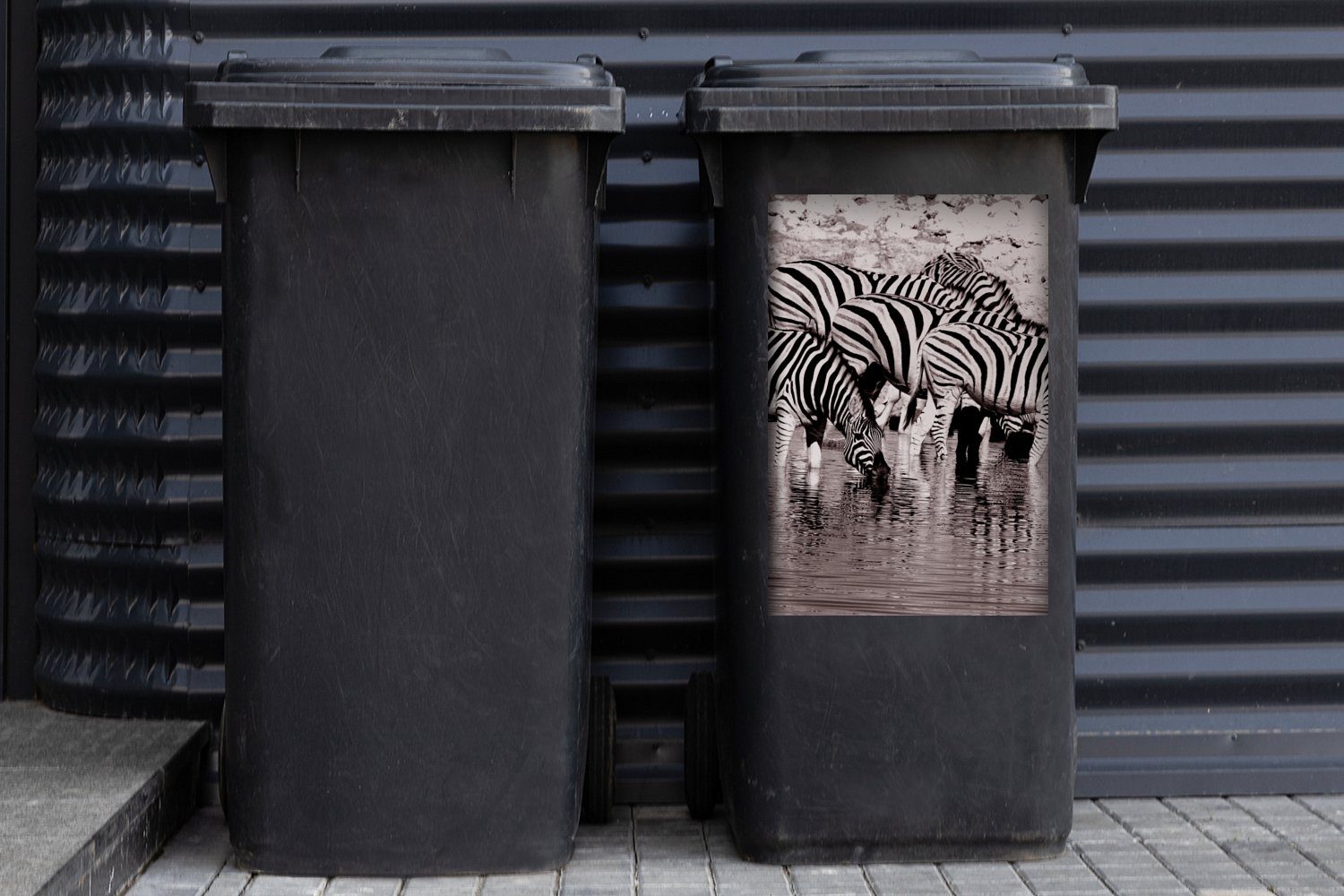 St), Zebras MuchoWow Sticker, Mülleimer-aufkleber, Container, im Mülltonne, Wasser Wandsticker Abfalbehälter (1