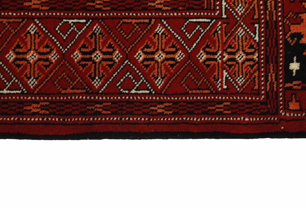 Höhe: Orientteppich Orientteppich Nain Perserteppich, 6 Trading, 153x244 / Turkaman Handgeknüpfter mm rechteckig,