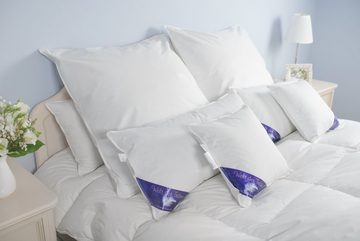 Daunenkissen Daunenkissen Kissen Kopfkissen Federkissen Kinderkissen Daunen Federn DownPillow FeatherPillow 80x80 1380 Gr, Welt der Träume, Füllung: 60% Daunen/ 40% Federn, Made in Europe