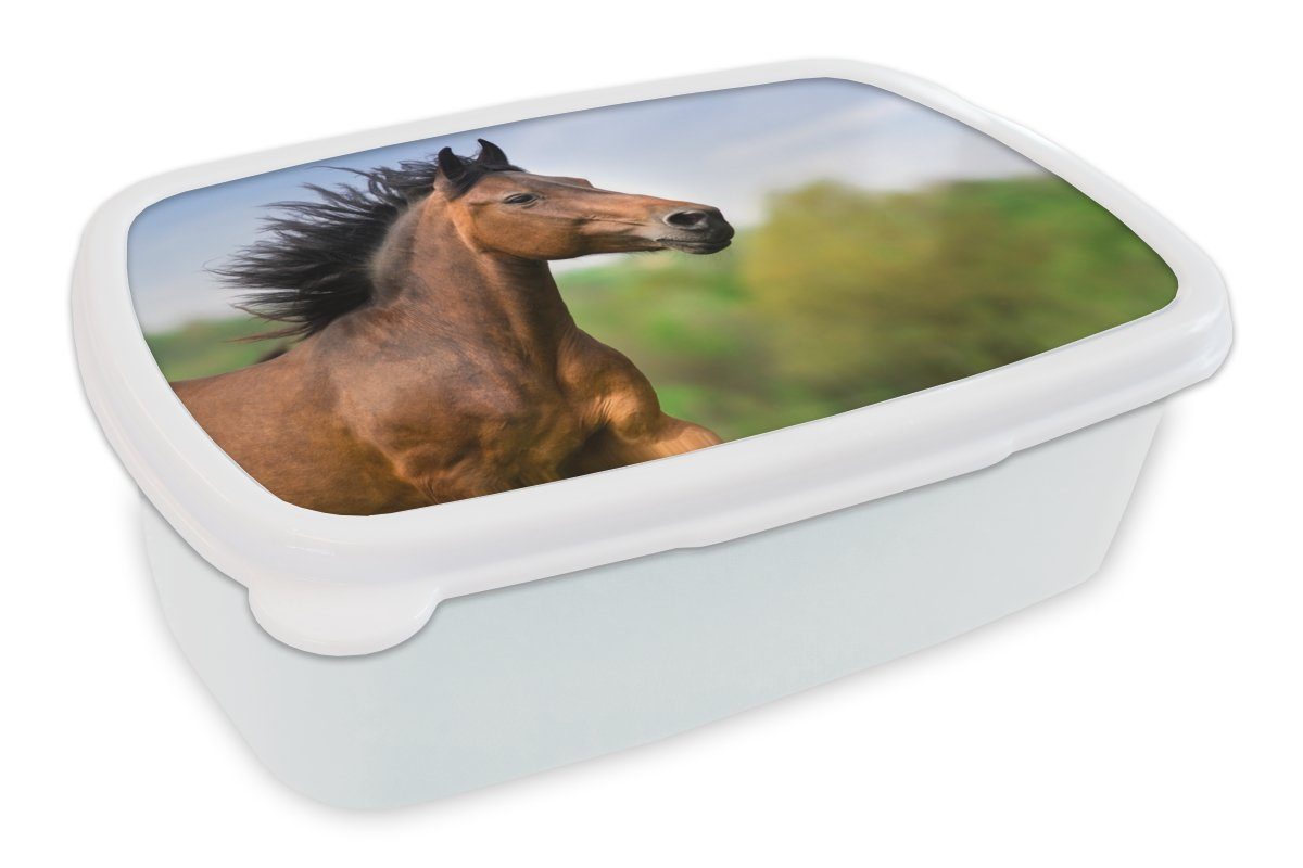 MuchoWow Lunchbox Pferd - Tier - Mähne - Braun, Kunststoff, (2-tlg), Brotbox für Kinder und Erwachsene, Brotdose, für Jungs und Mädchen weiß