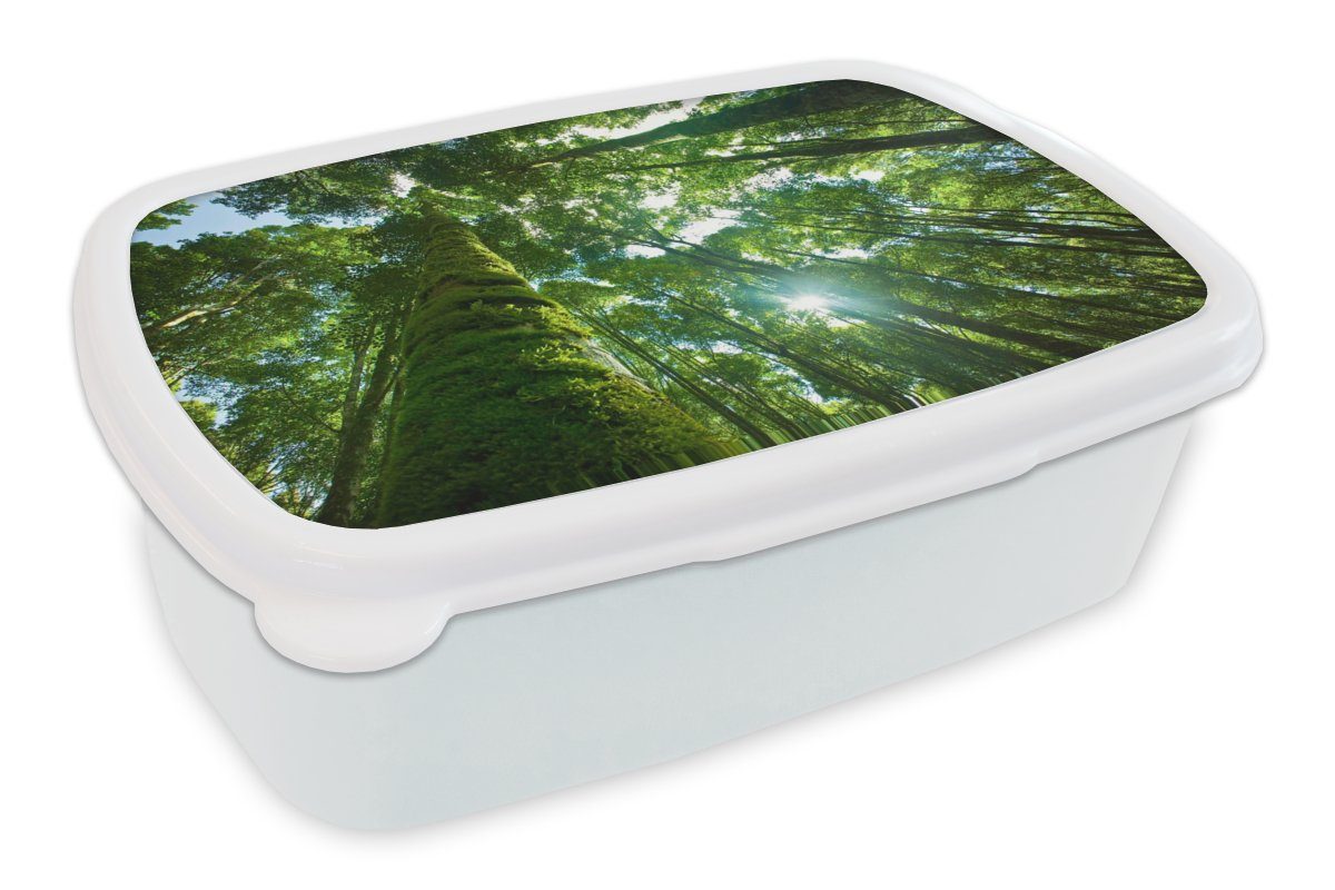 MuchoWow Lunchbox Tropischer Dschungel in Asien, Kunststoff, (2-tlg), Brotbox für Kinder und Erwachsene, Brotdose, für Jungs und Mädchen weiß