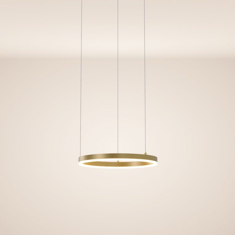 s.luce Pendelleuchte LED Hängelampe Ring 40 5m Abhängung Goldfarben, Warmweiß