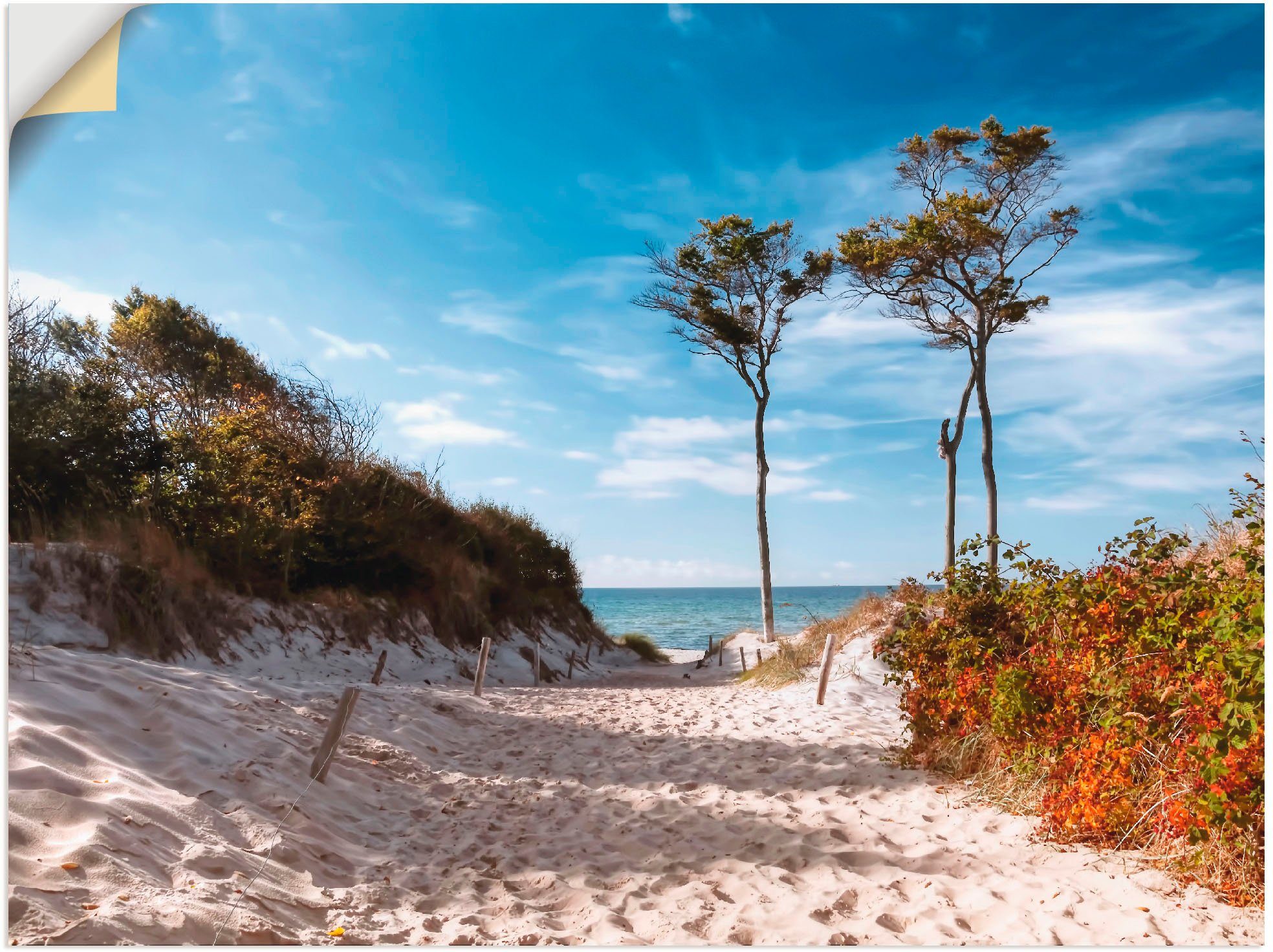 Strand Wandaufkleber Poster Darss, (1 als Größen Wandbild Artland versch. in St), Leinwandbild, Weststrand oder