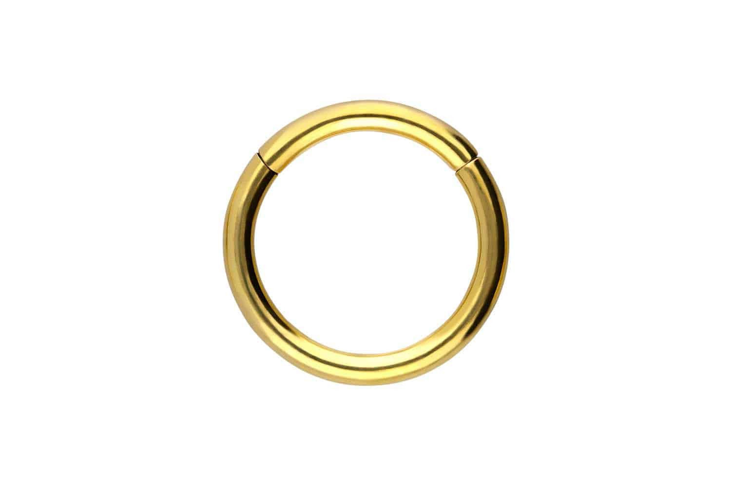 PIERCINGLINE Nasenpiercing Titan Segmentring Clicker Ohrpiercing Septum Nase (Clicker, 1-tlg), Ohrpiercing für Conch, Helix, Tragus, Daith, Lobe