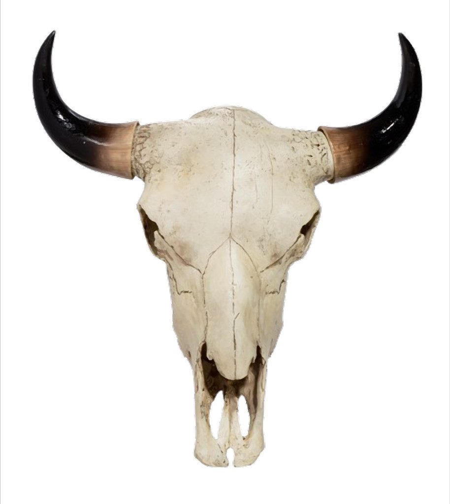 Westernlifestyle Dekofigur Spirit of the Prairie XL Deko-Schädel „Bison Horns“